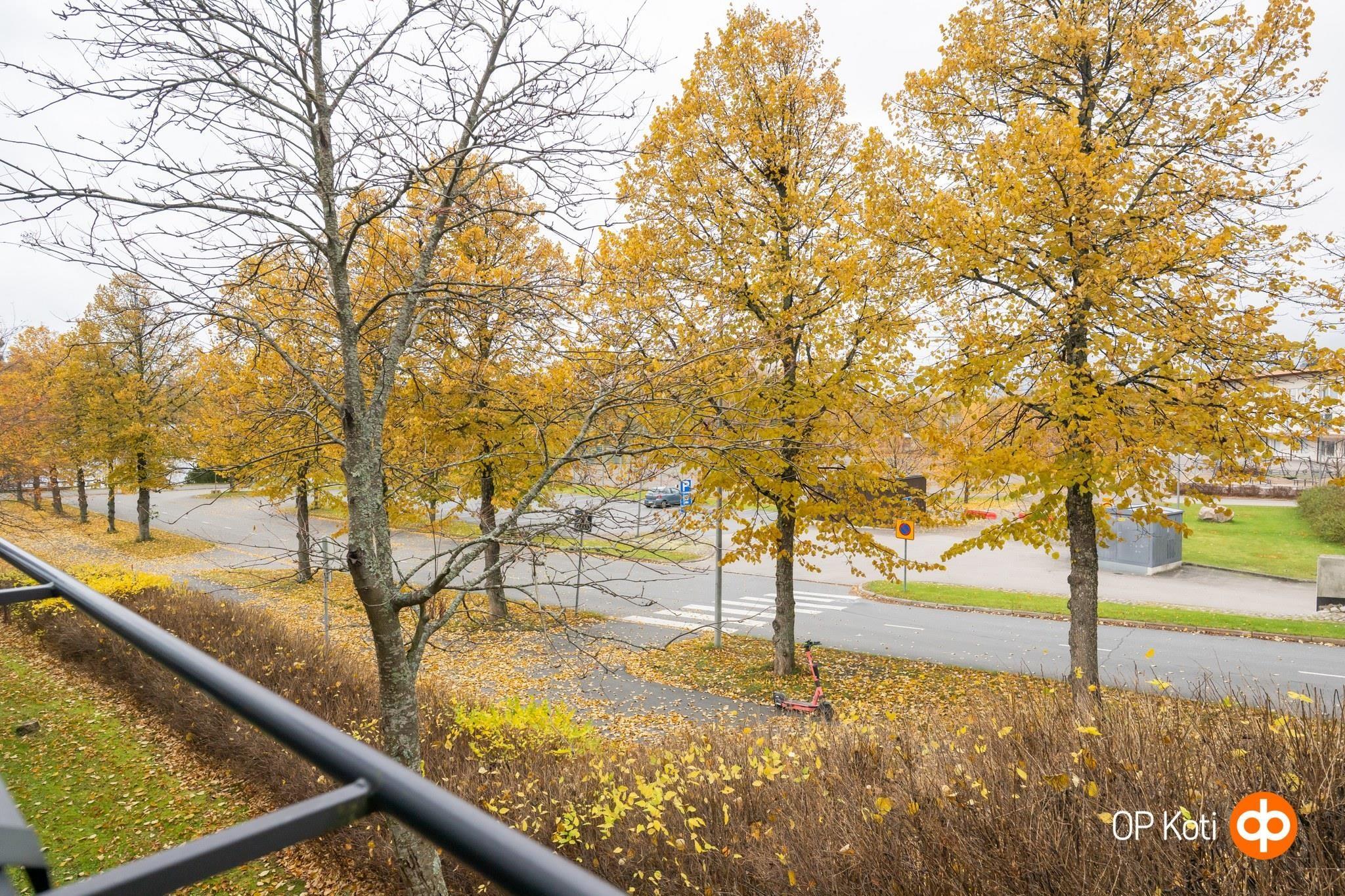 Kohdekuva 18