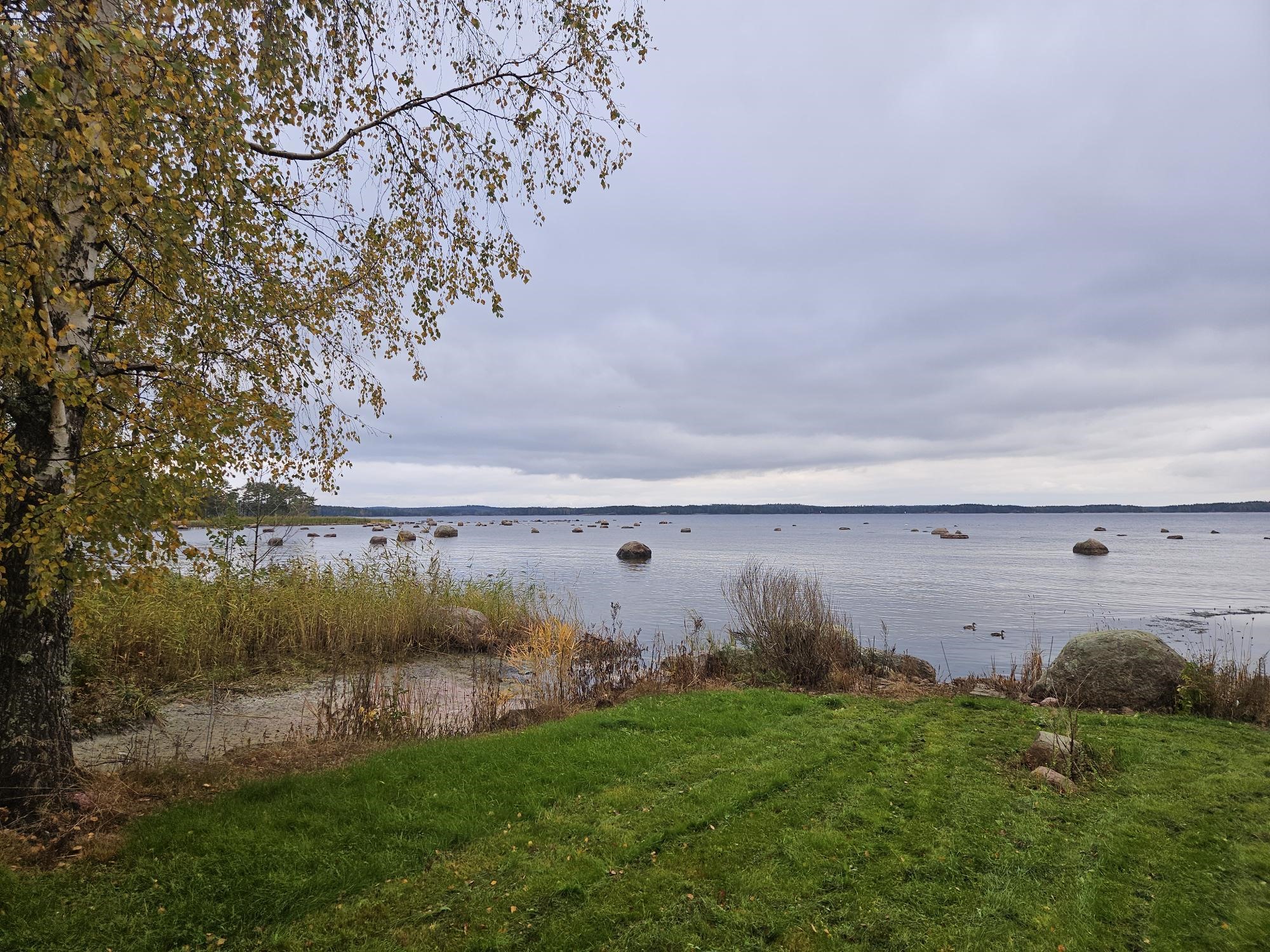 Kohdekuva 6