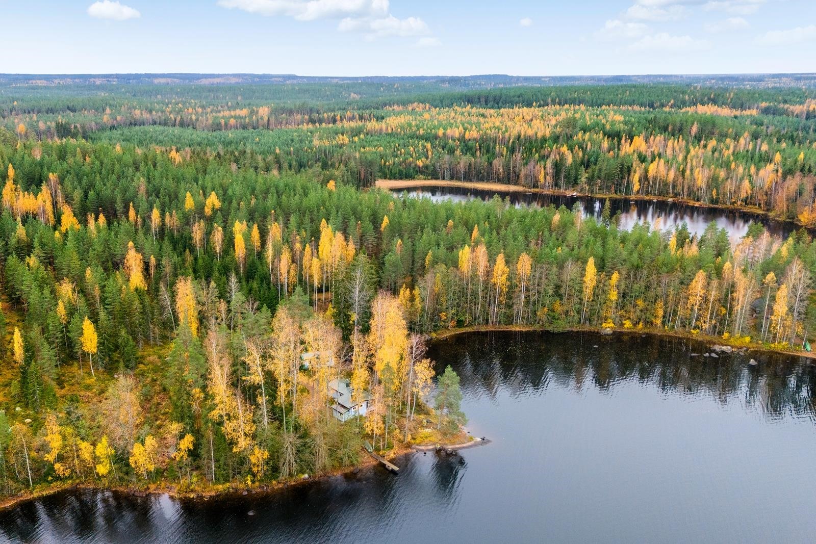 Kohdekuva 14