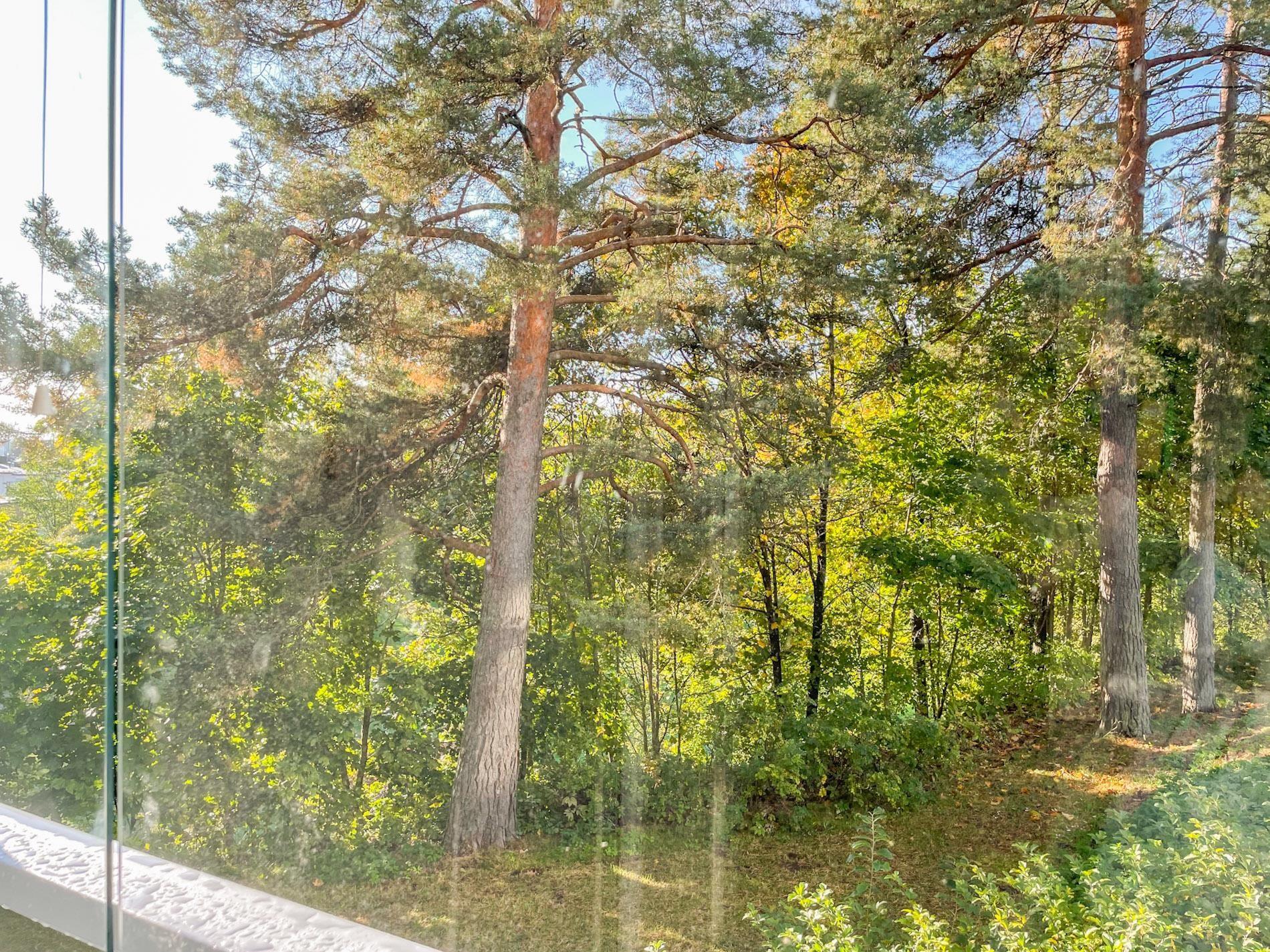 Kohdekuva 12