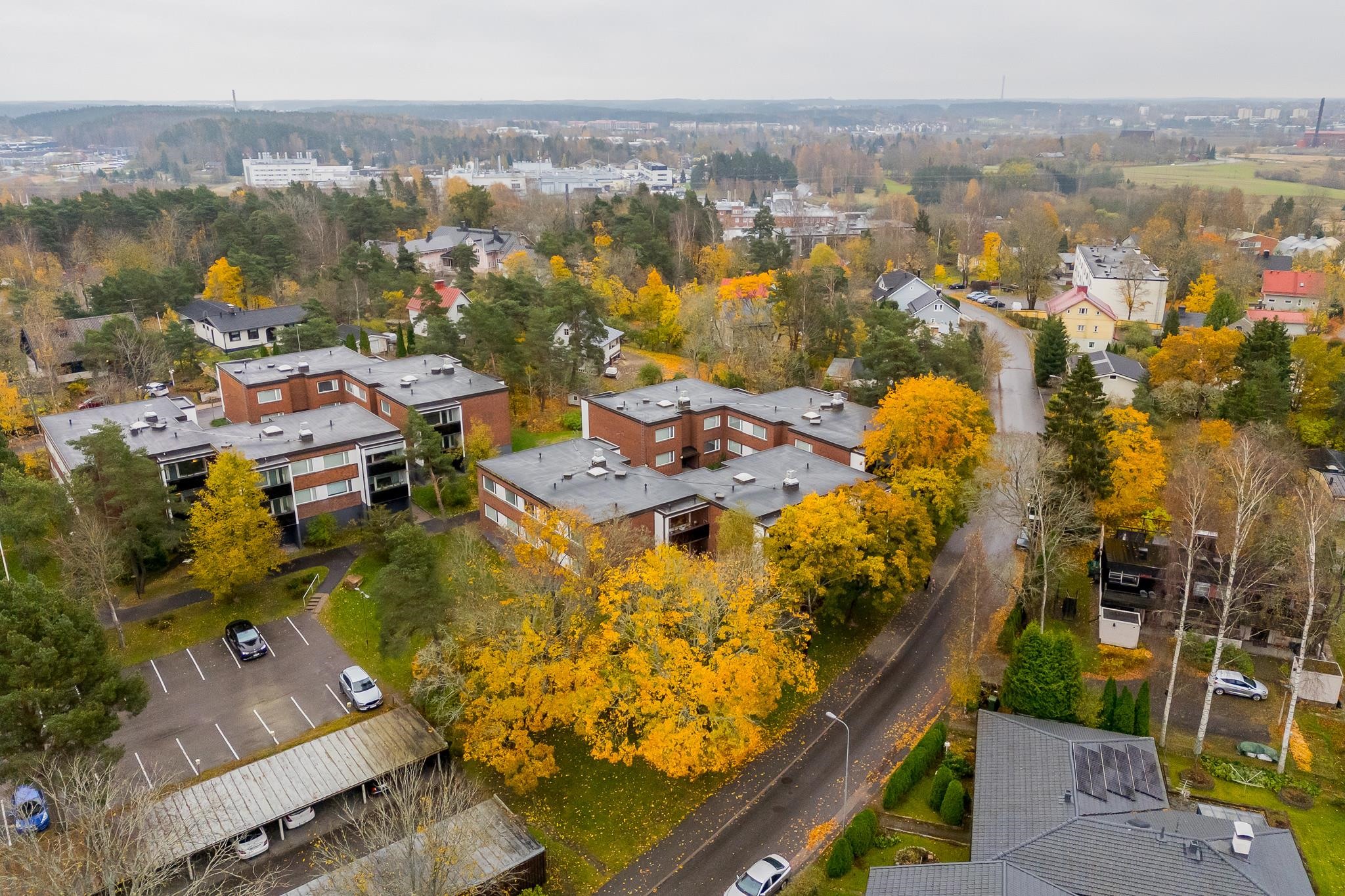 Kohdekuva 31