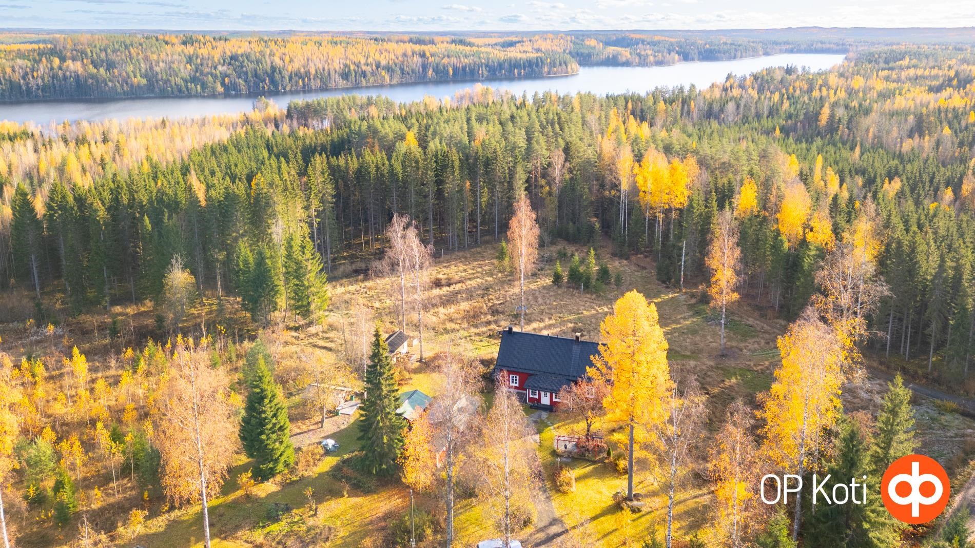 Kohdekuva 36