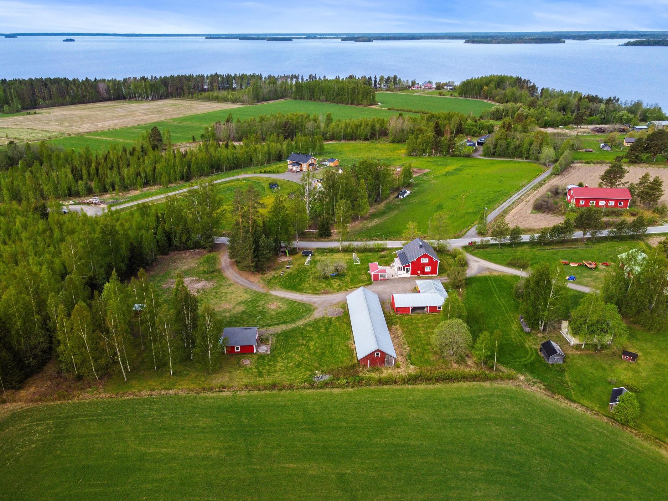Kohdekuva 46