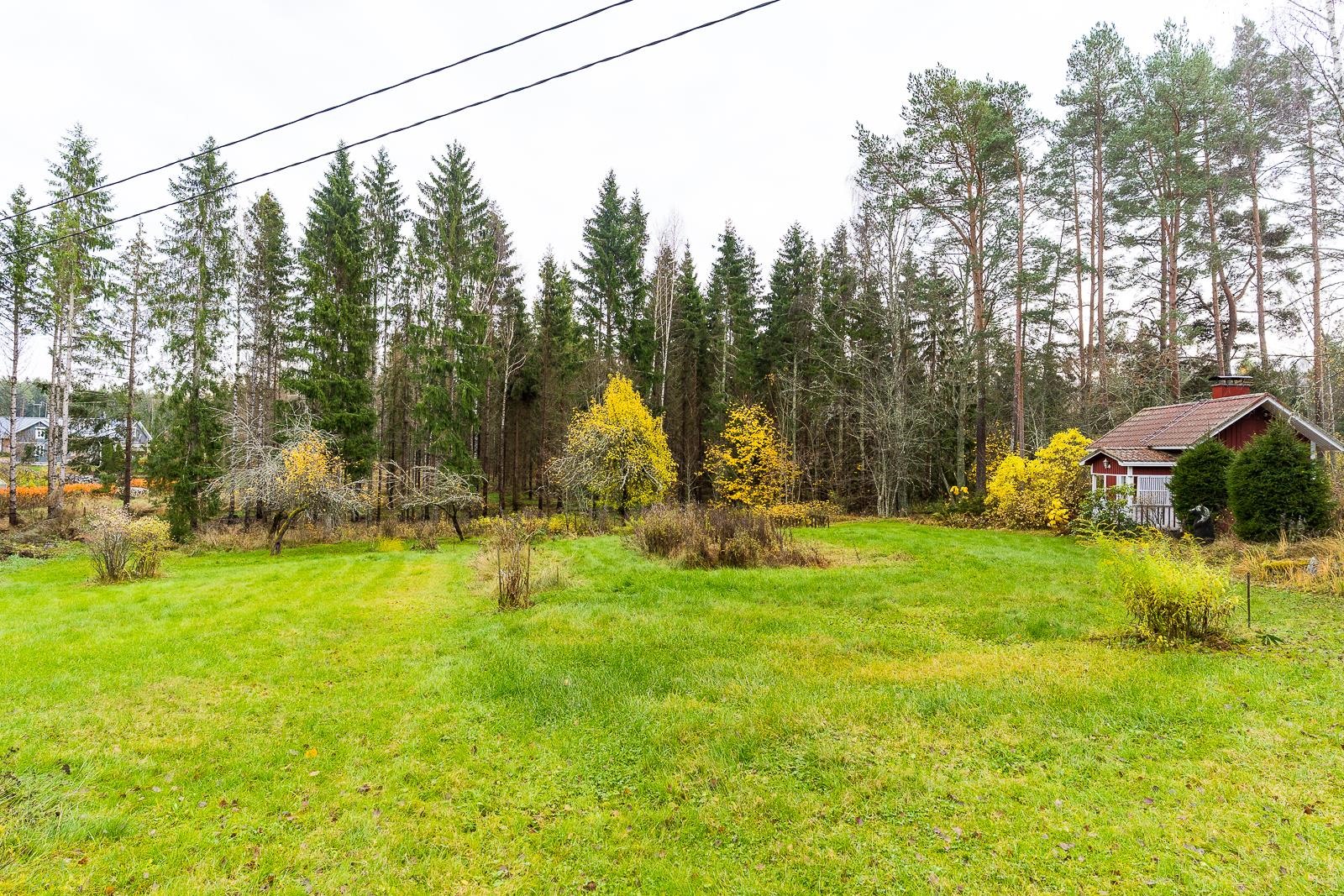 nurmikkoa ja kasvimaata