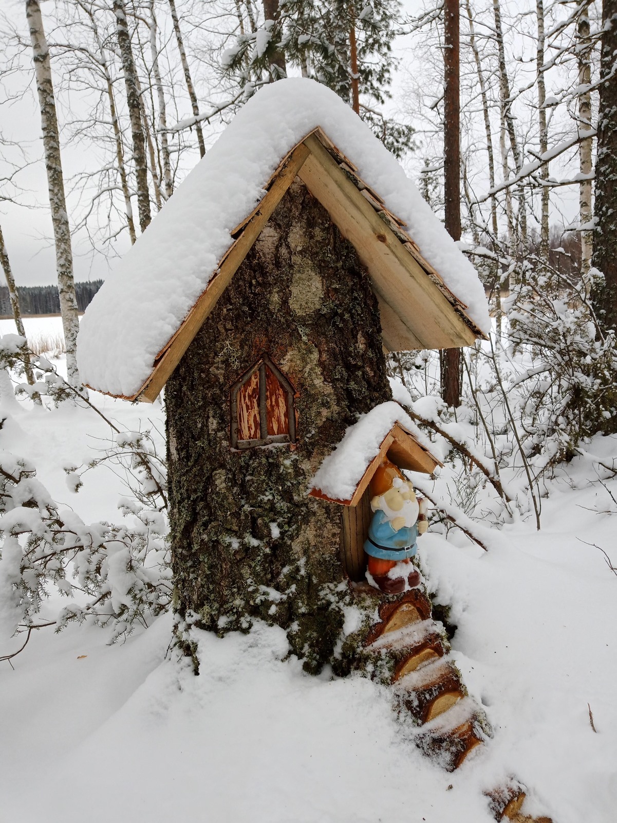 myyjän ilmoituksen mukaan alueella tallentava tont