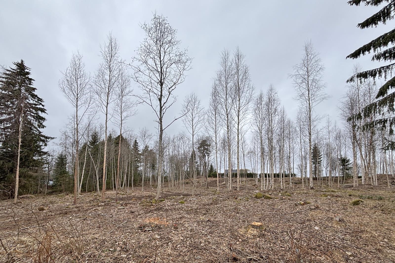 Kohdekuva 2