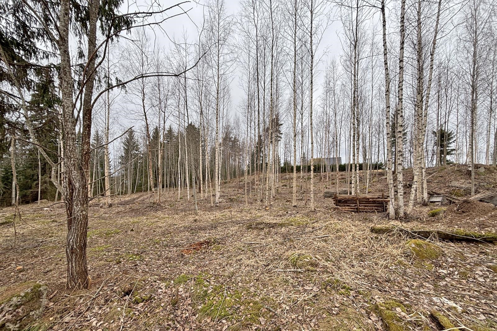 Kohdekuva 1