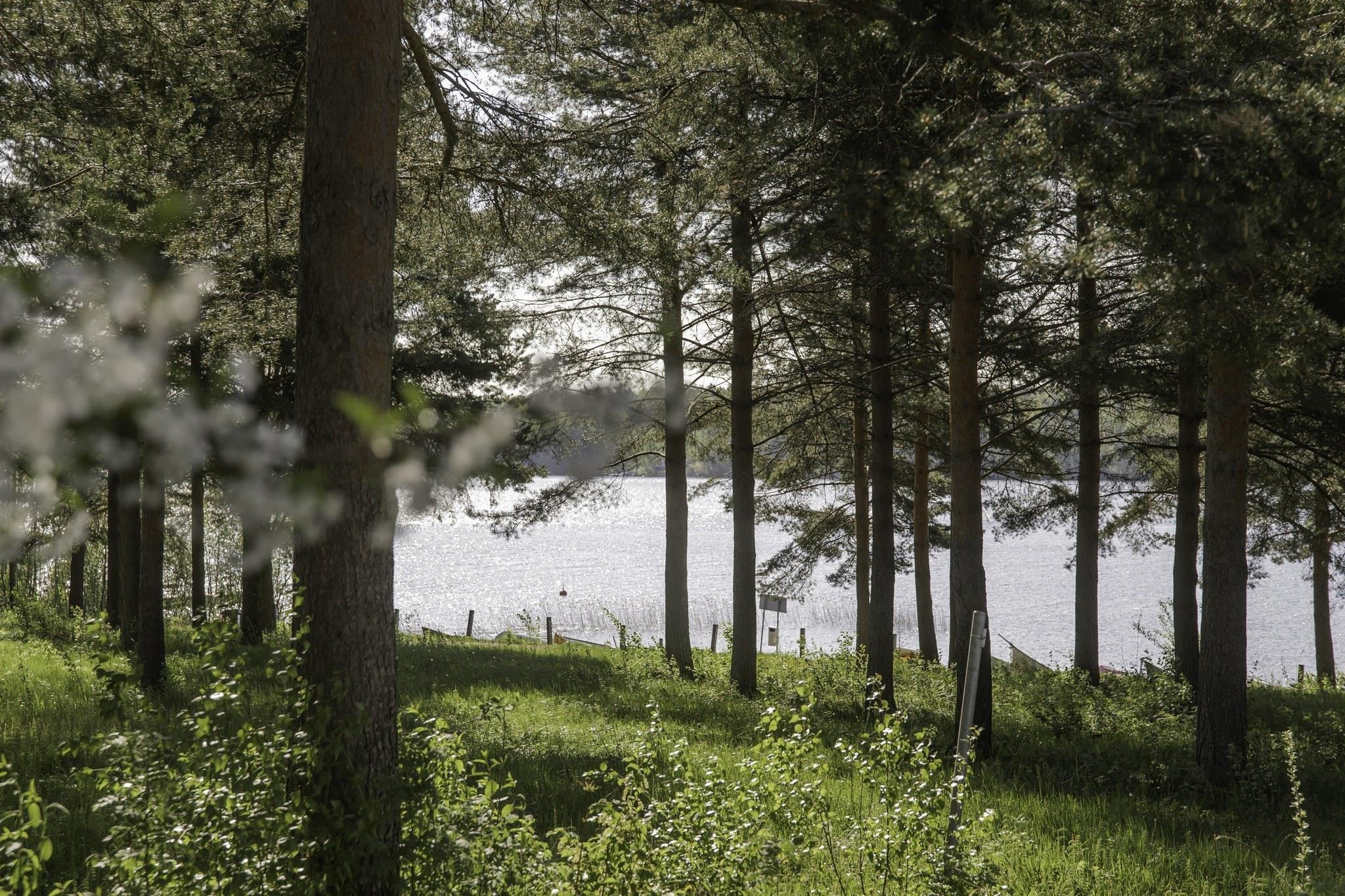 Kohdekuva 51