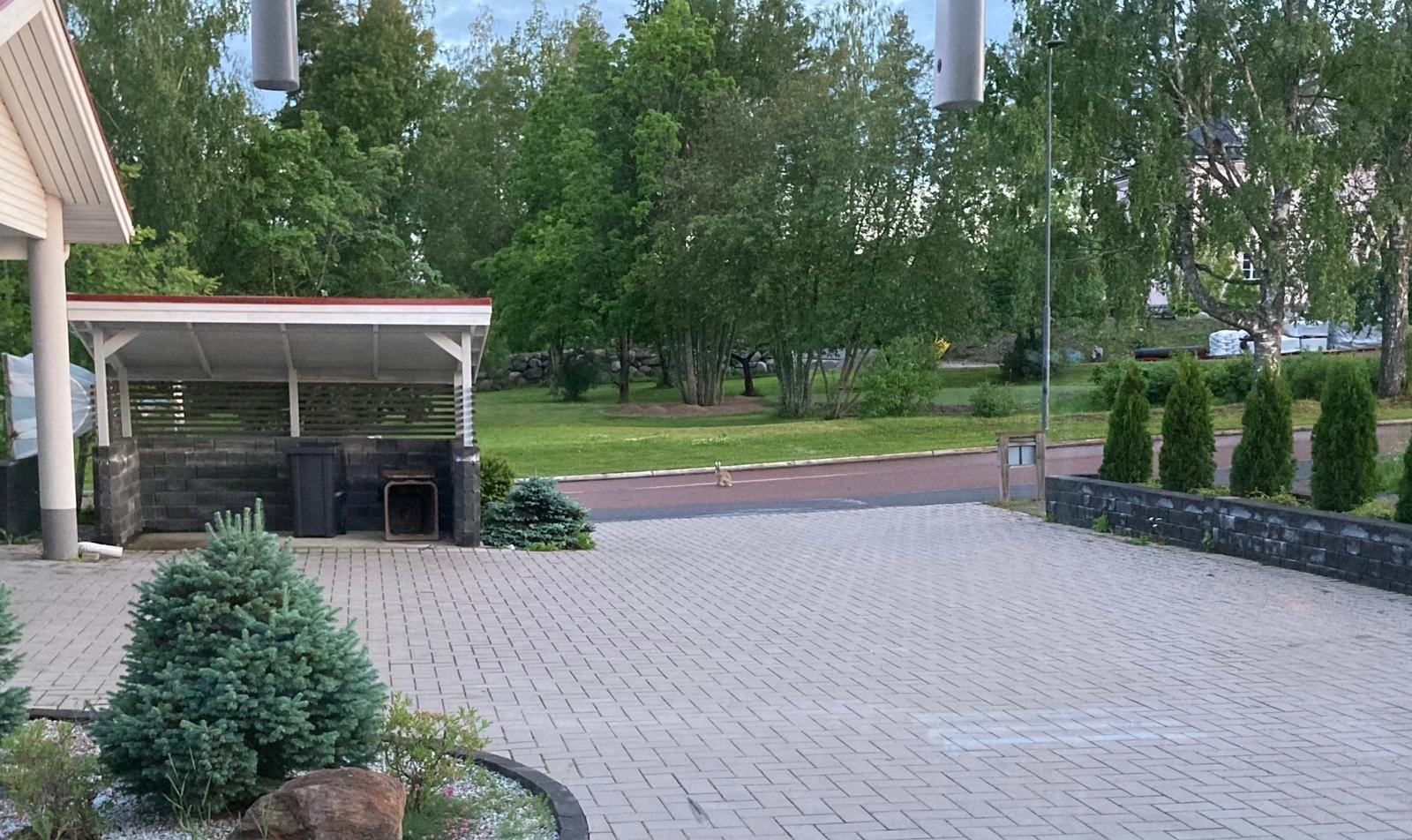 Kohdekuva 53