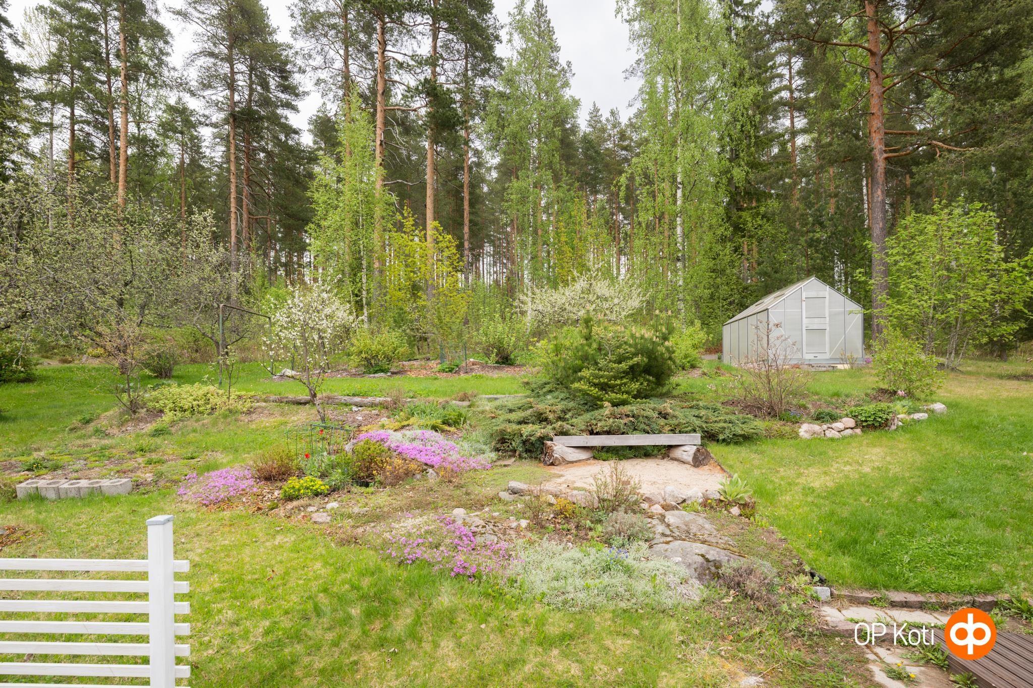 Kohdekuva 37
