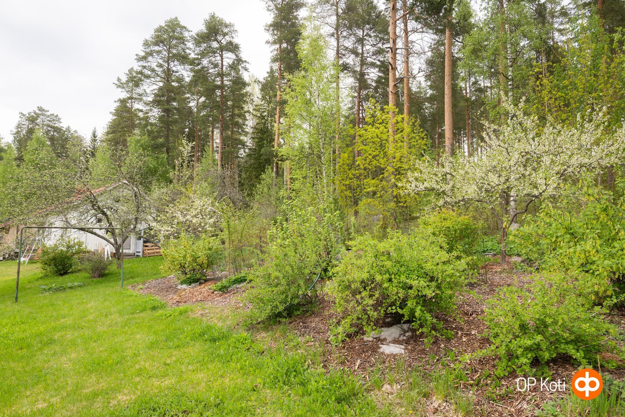Kohdekuva 42
