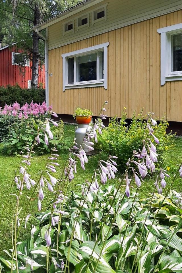 Myyjän aiemmin ottama valokuva