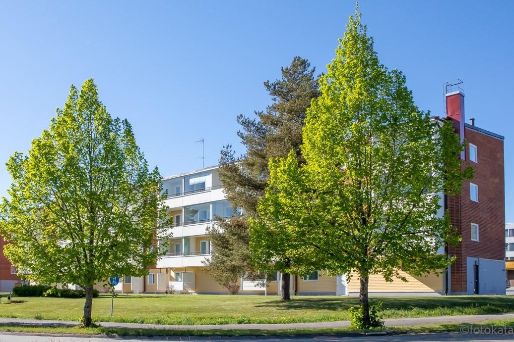 Kohdekuva 18