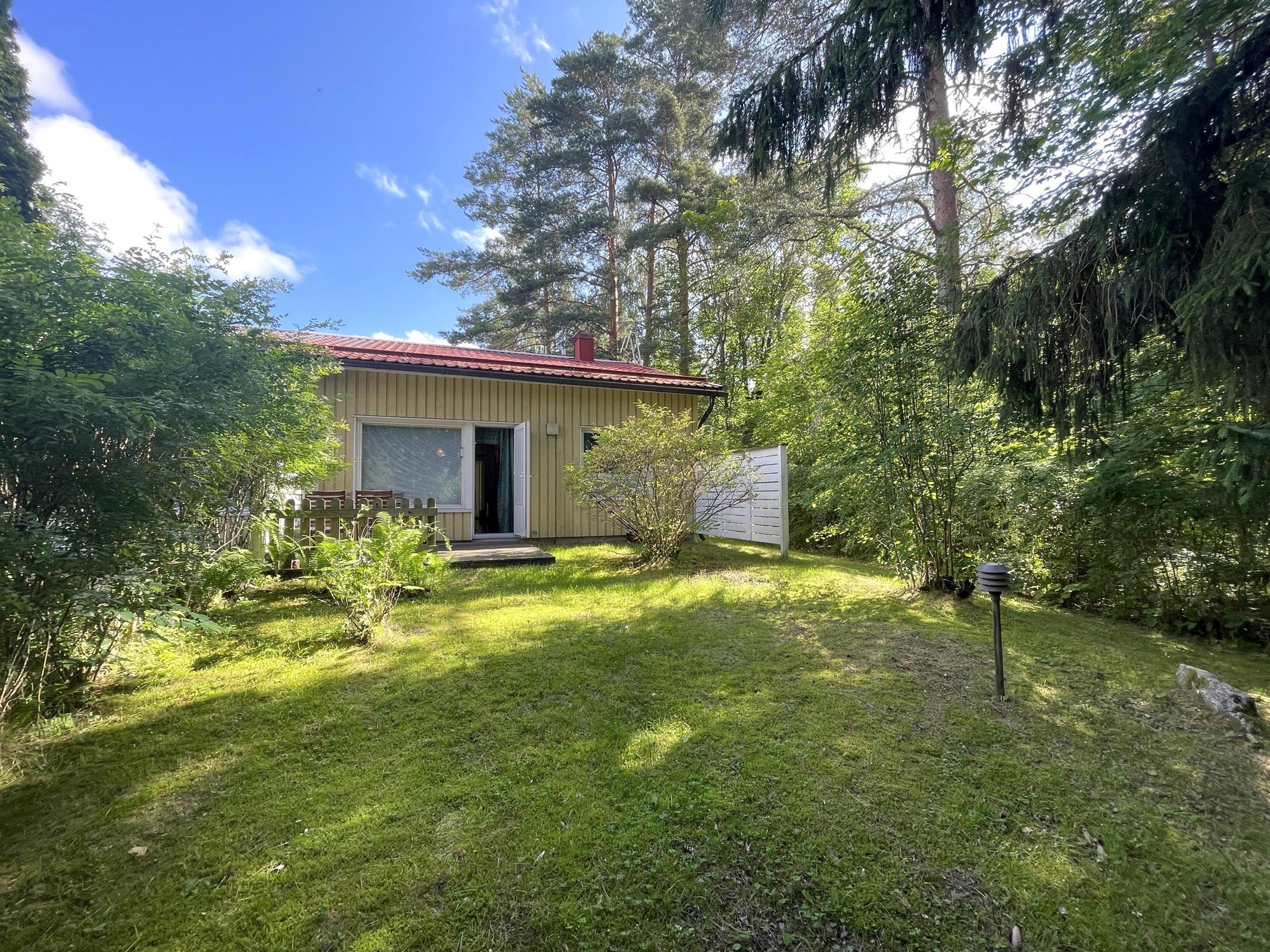 aurinkoinen takapiha