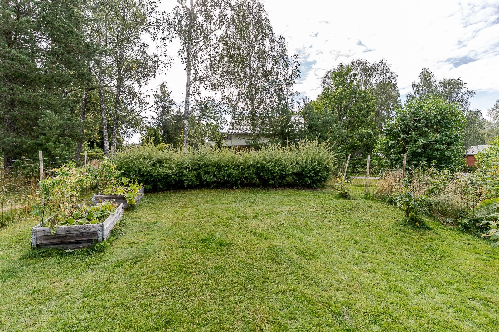 Kohdekuva 19