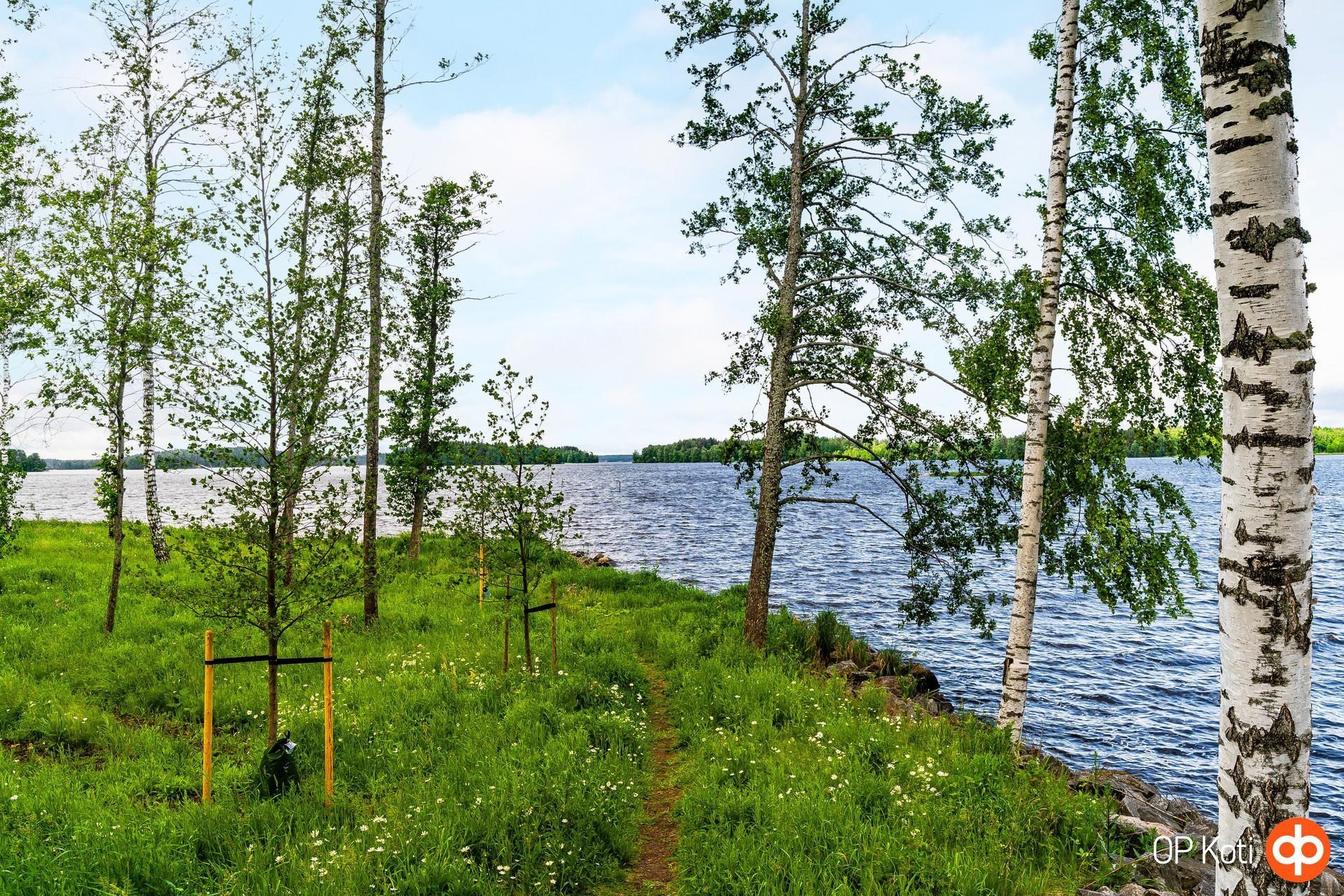 Kohdekuva 5
