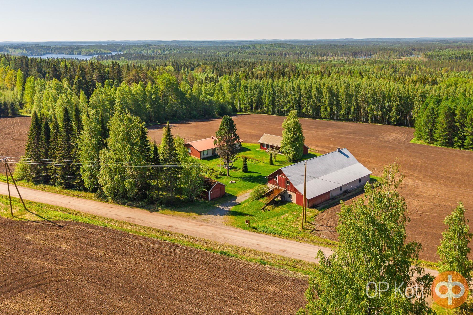 Kohdekuva 37