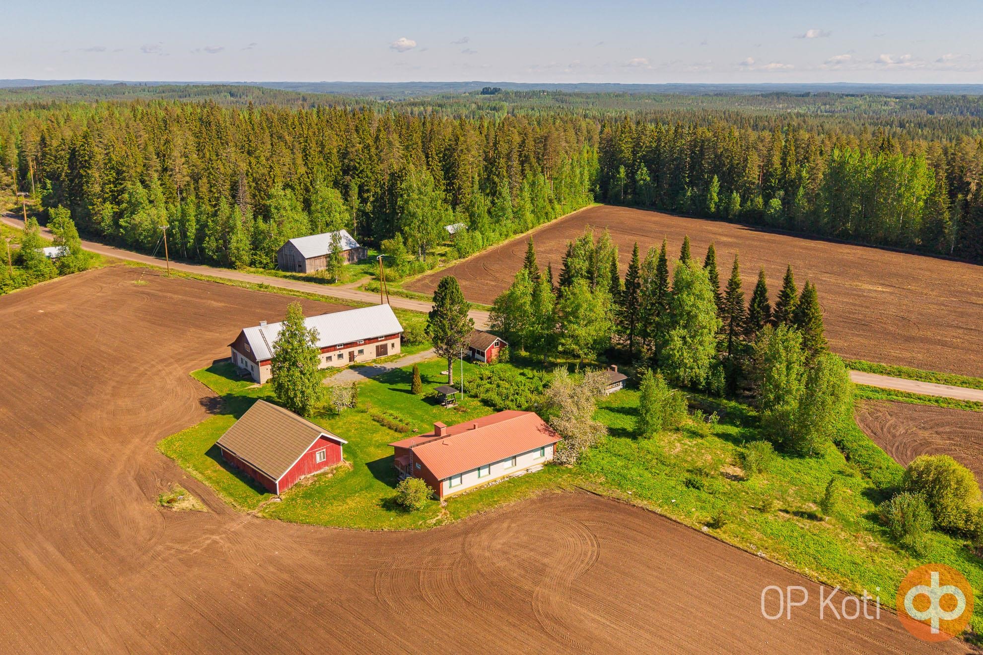 Kohdekuva 35