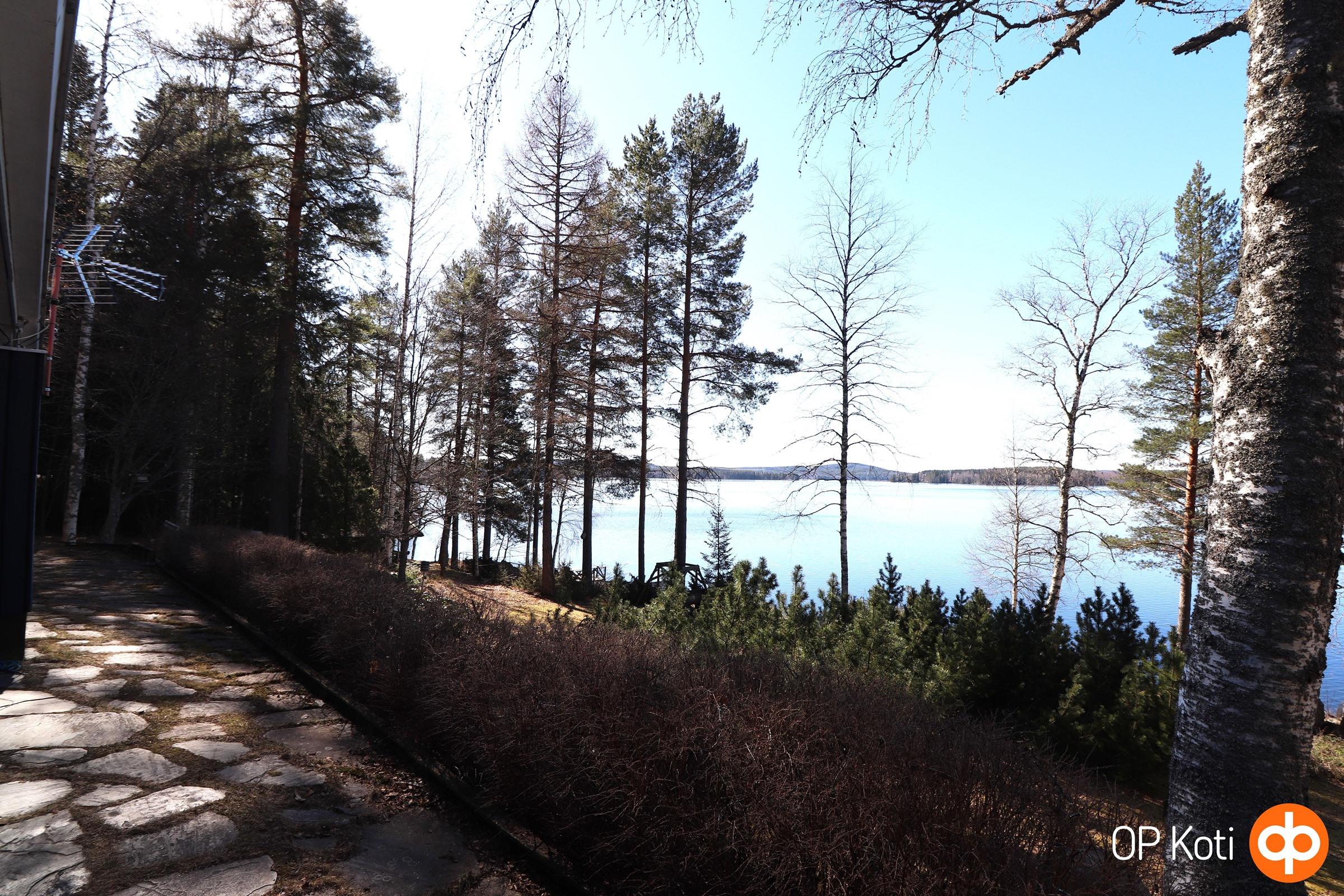 Näkymä takapihalta