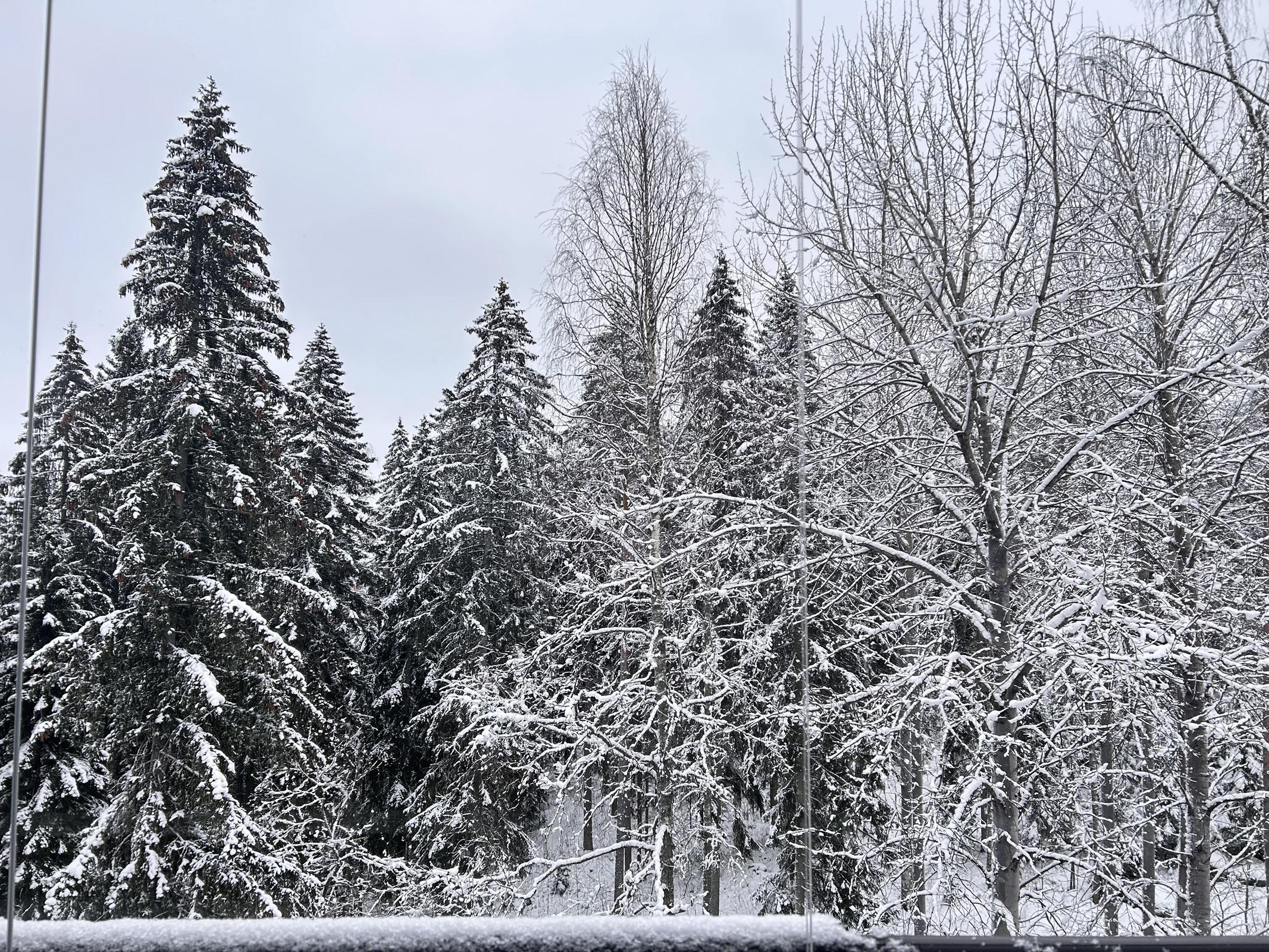 Näkymä parvekkeelta