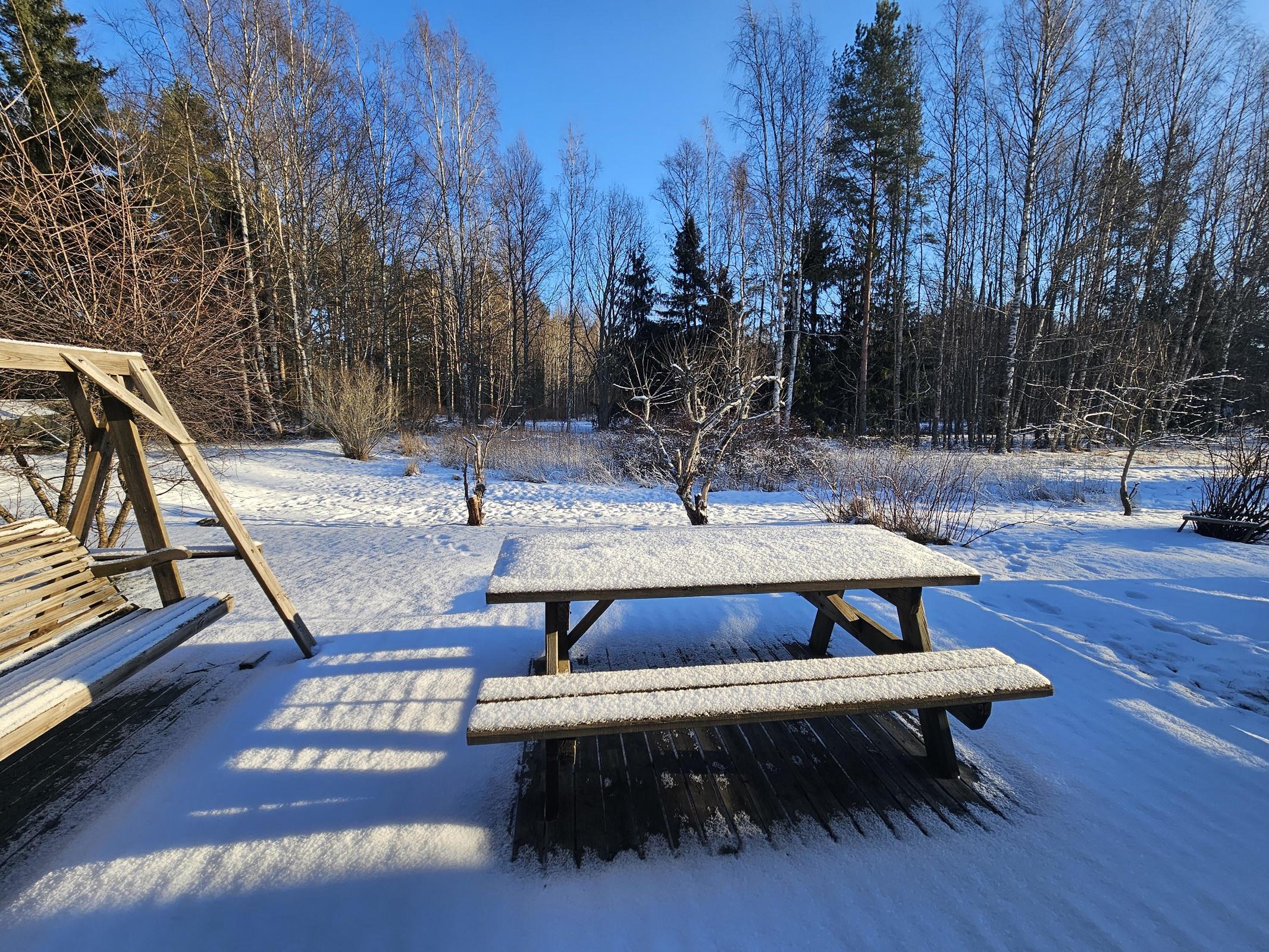 Näkymä takapihalta