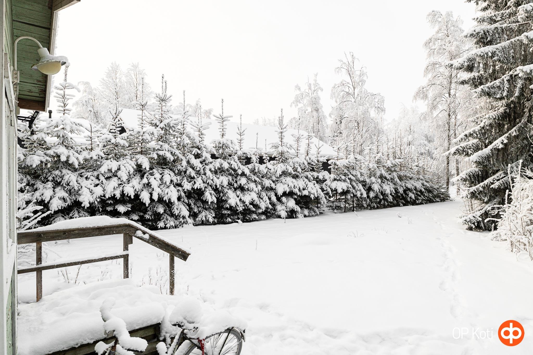 näkymä takapihalta