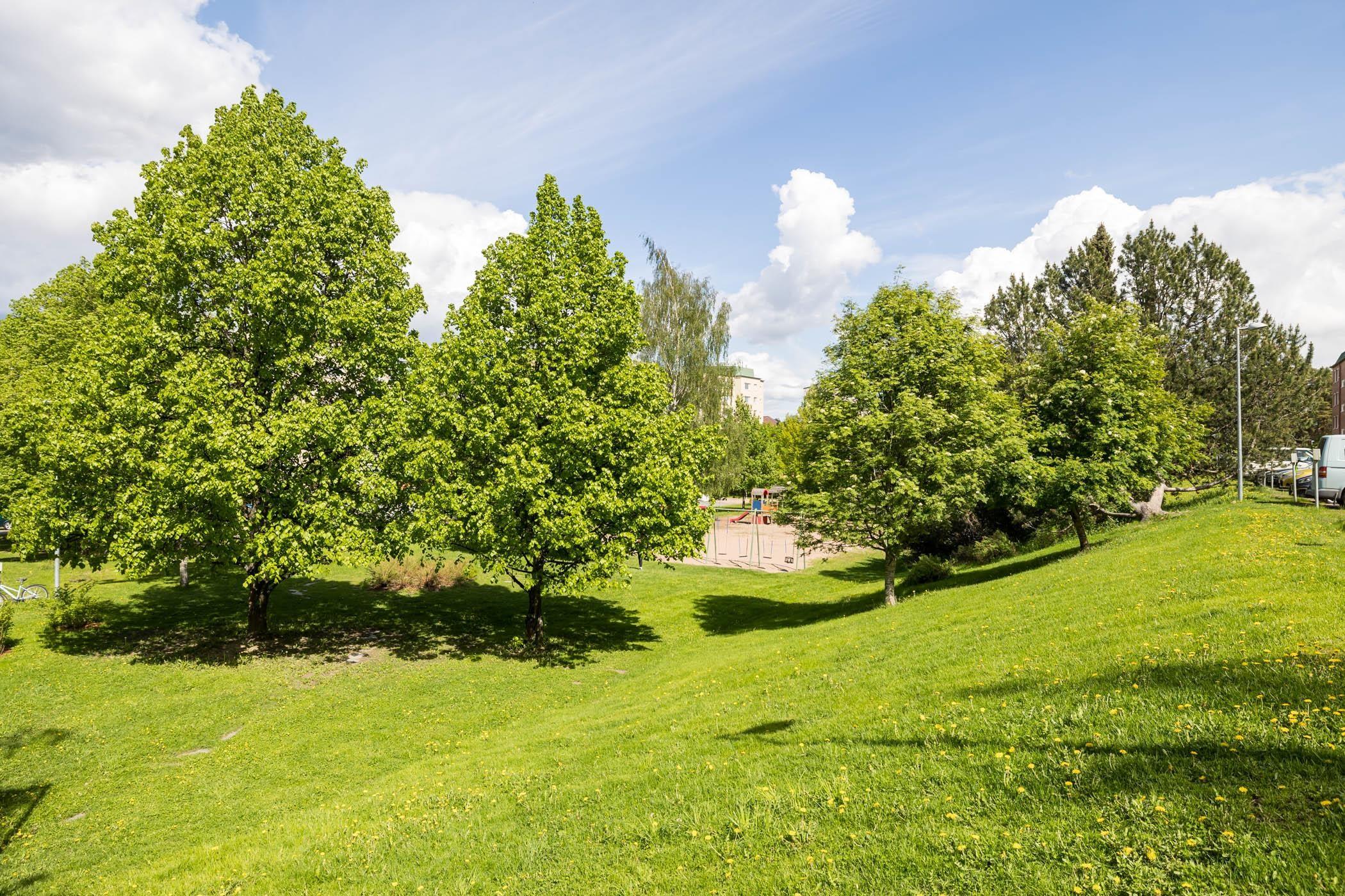 kesäkuva taloyhtiön pihoilta