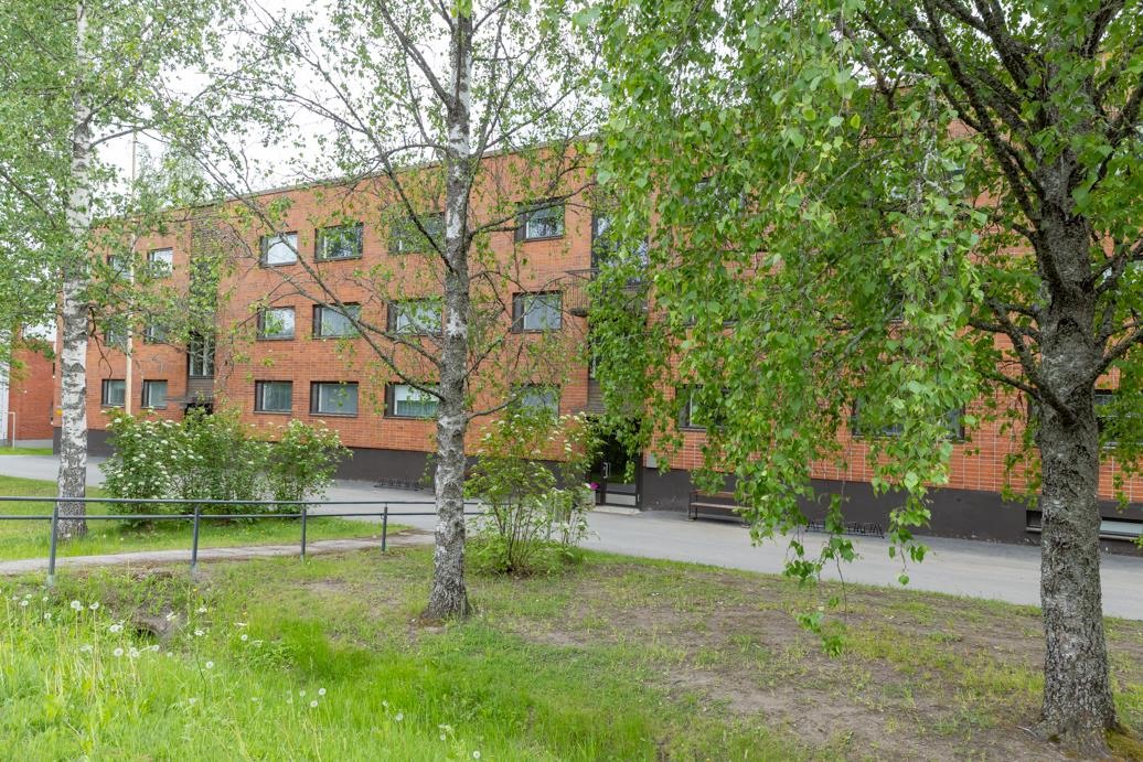 Kohdekuva 13