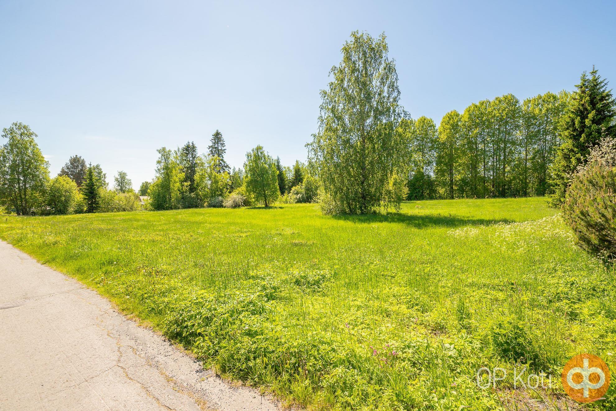 Kohdekuva 8