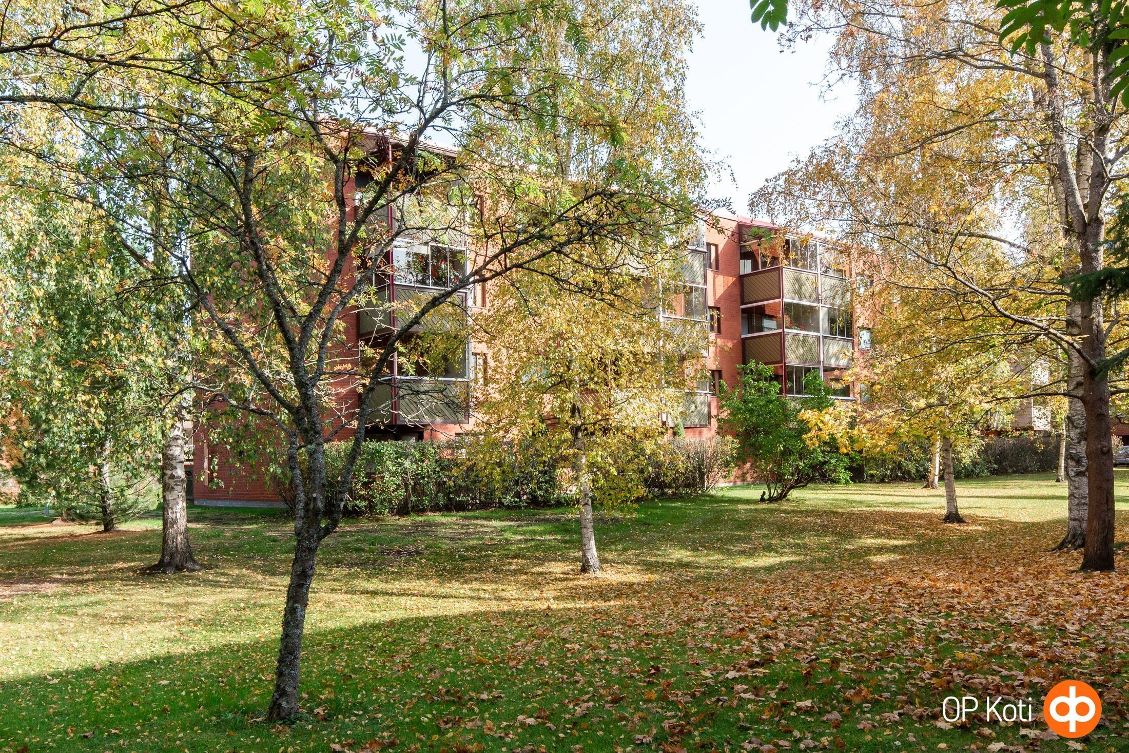 Kohdekuva 2