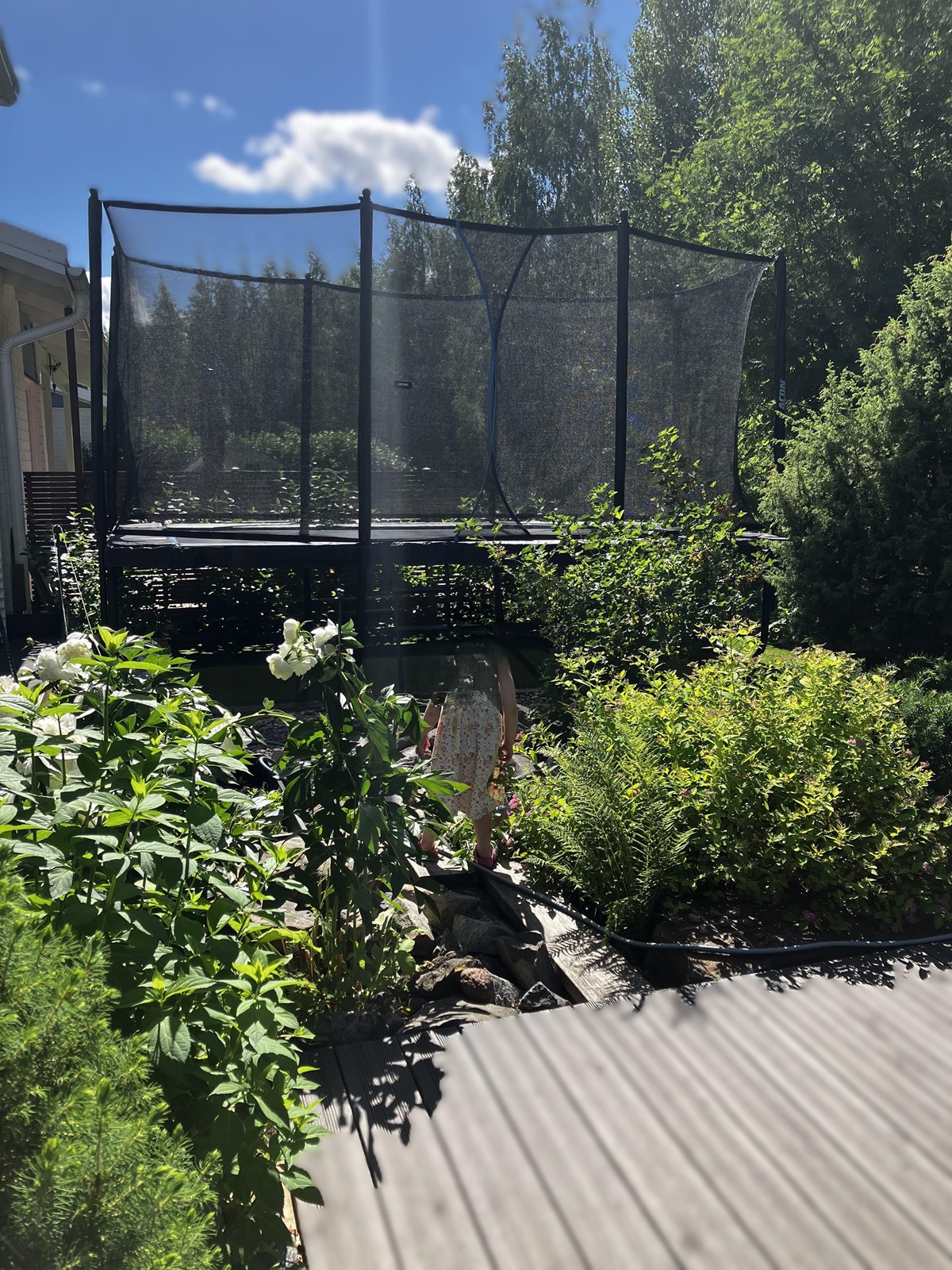 myyjän kuvia kesältä