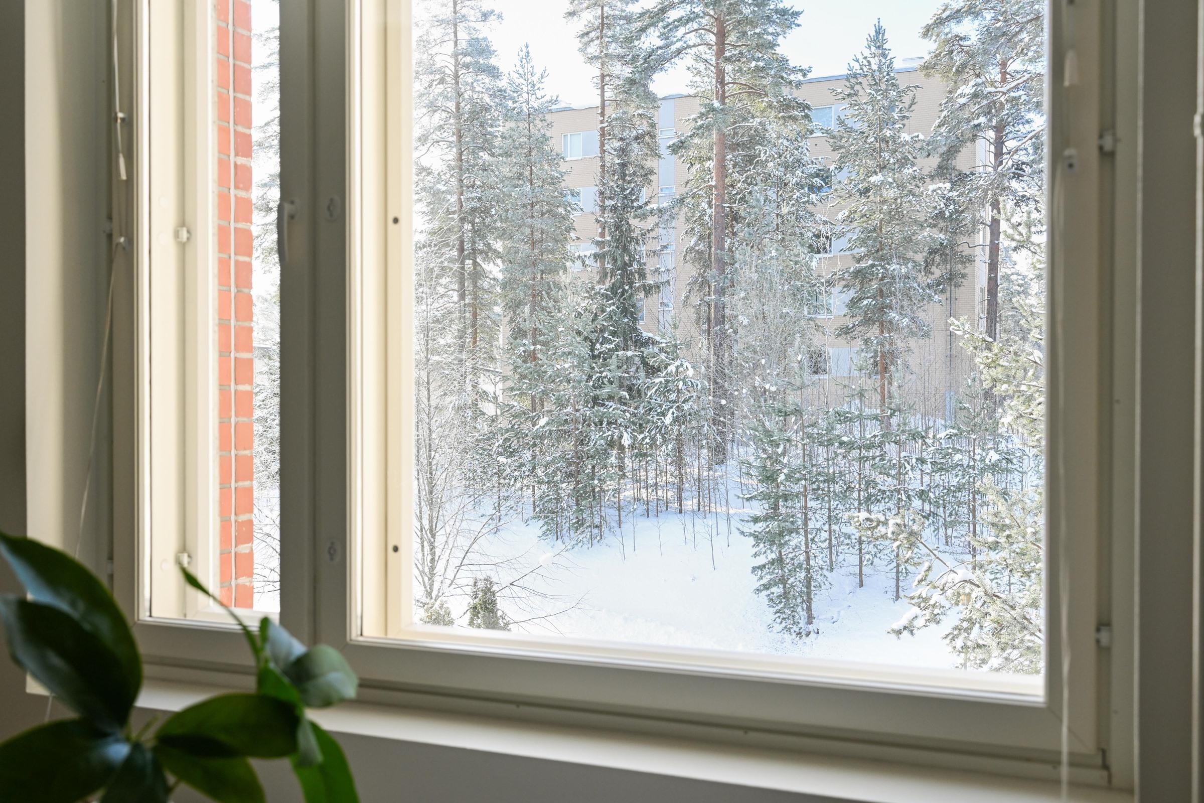 keittiöstä ja olohuoneesta puistomainen näkymä