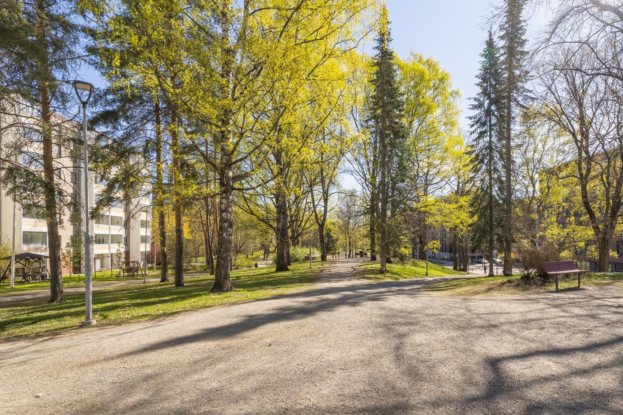 Kohdekuva 17