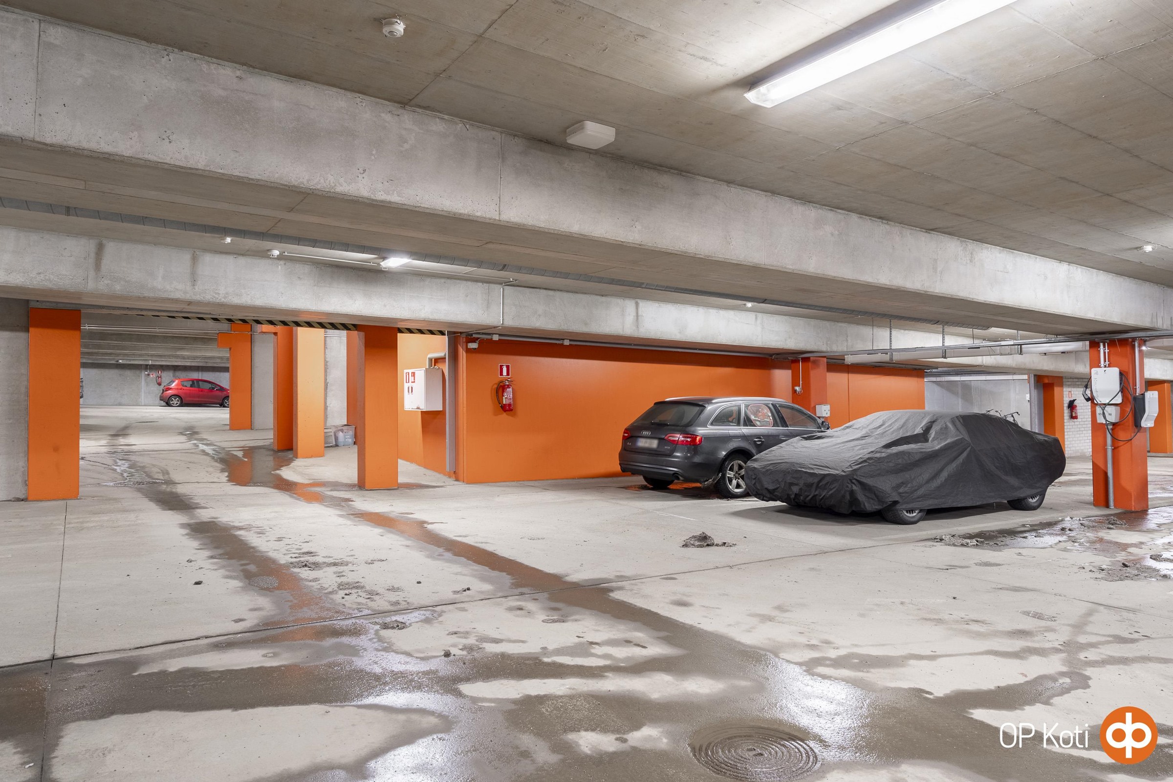 Mahdollisuus hankkia AP53