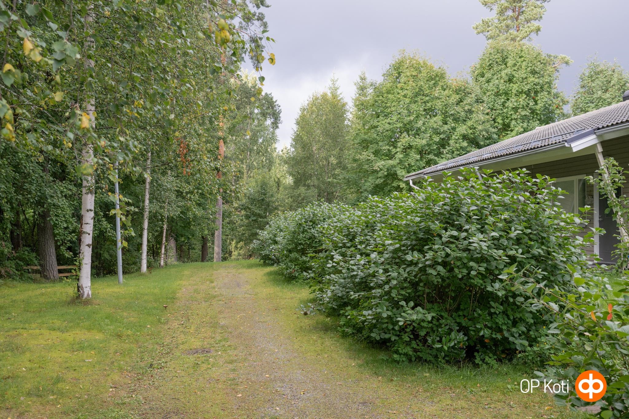 Kohdekuva 36