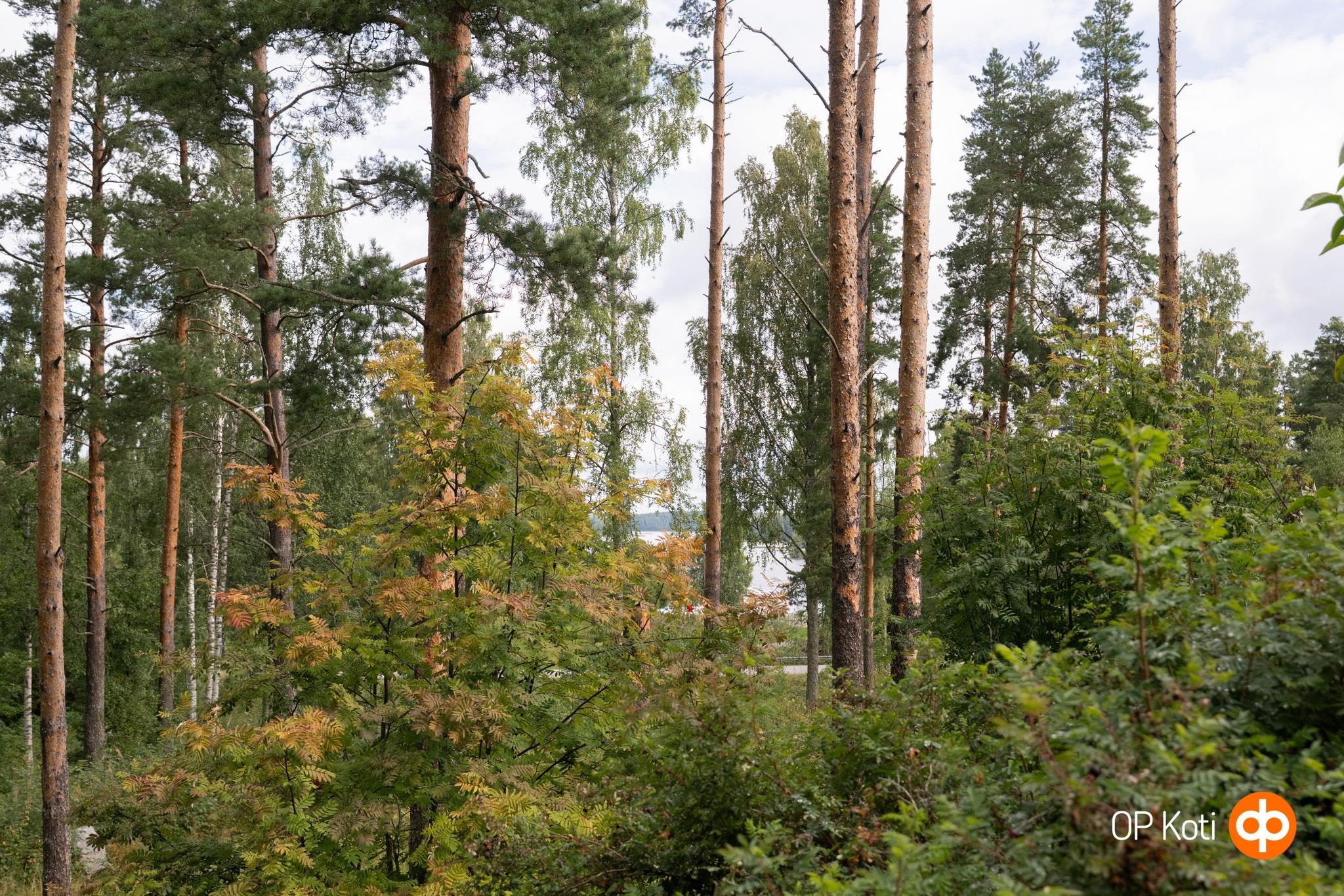 Kohdekuva 32