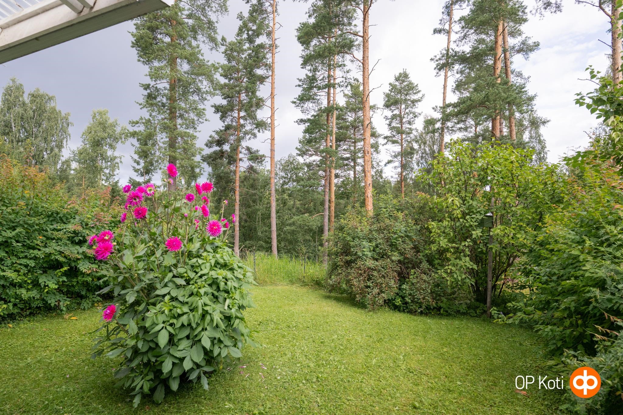 Kohdekuva 30