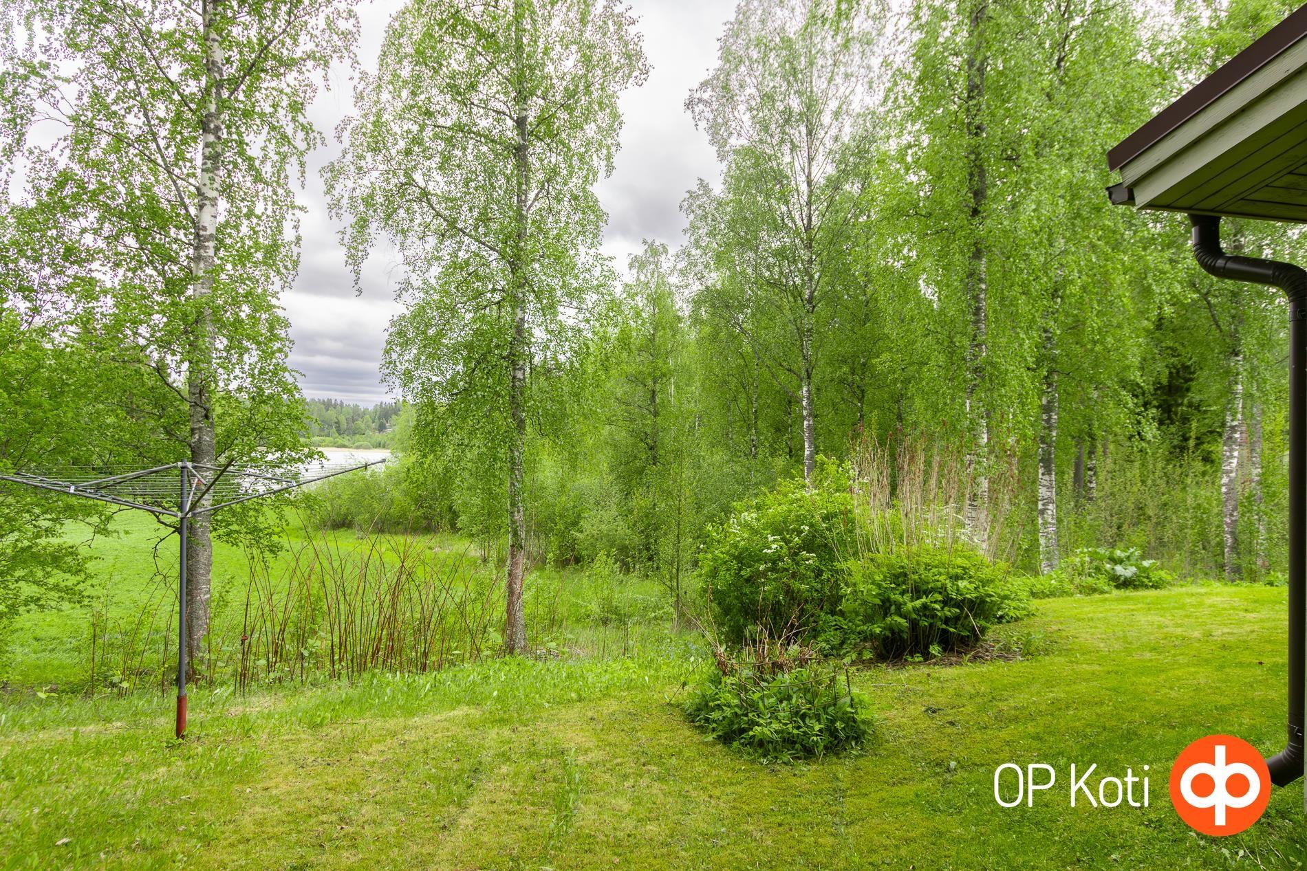 Kohdekuva 31