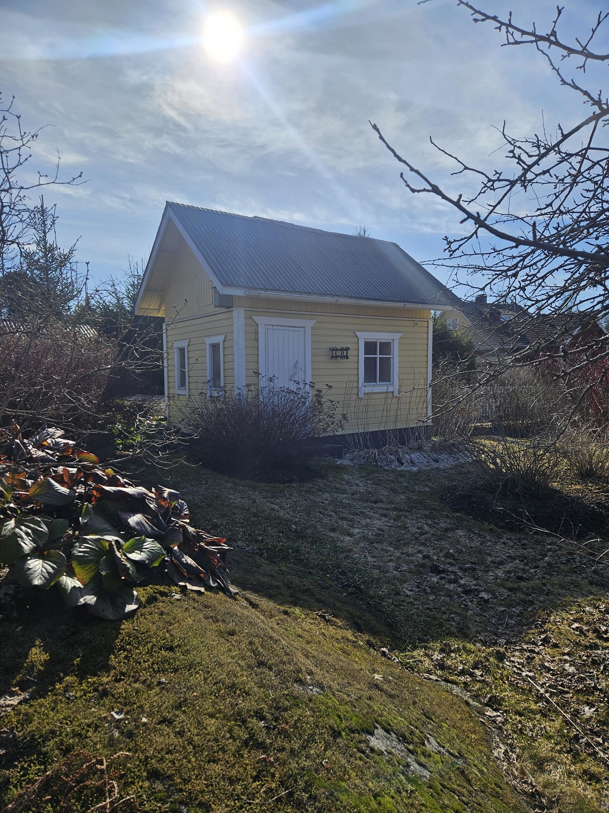 pihasauna