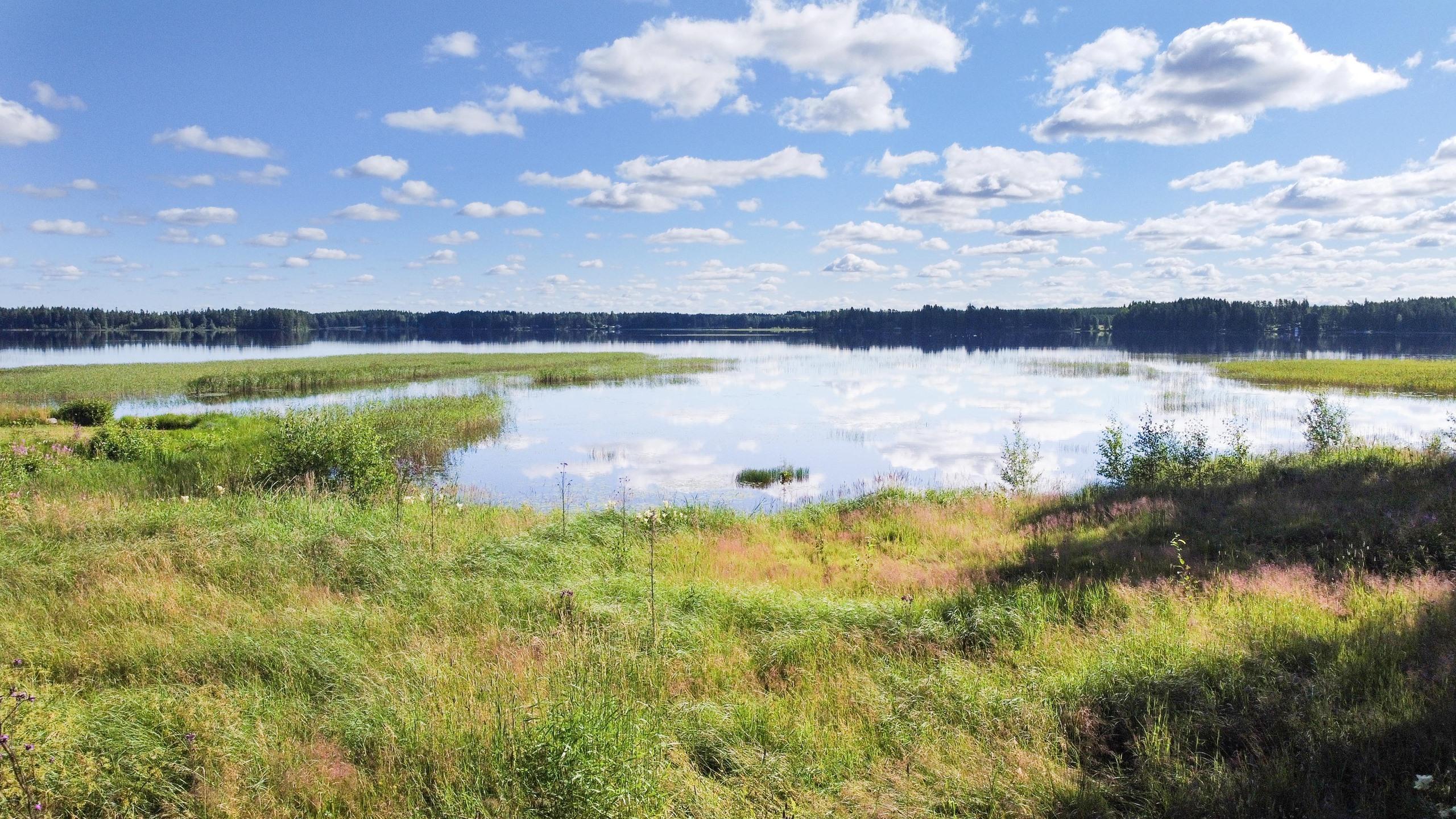 Kerrostalo – Alajärvi, Lehtimäki - Näkymä 4
