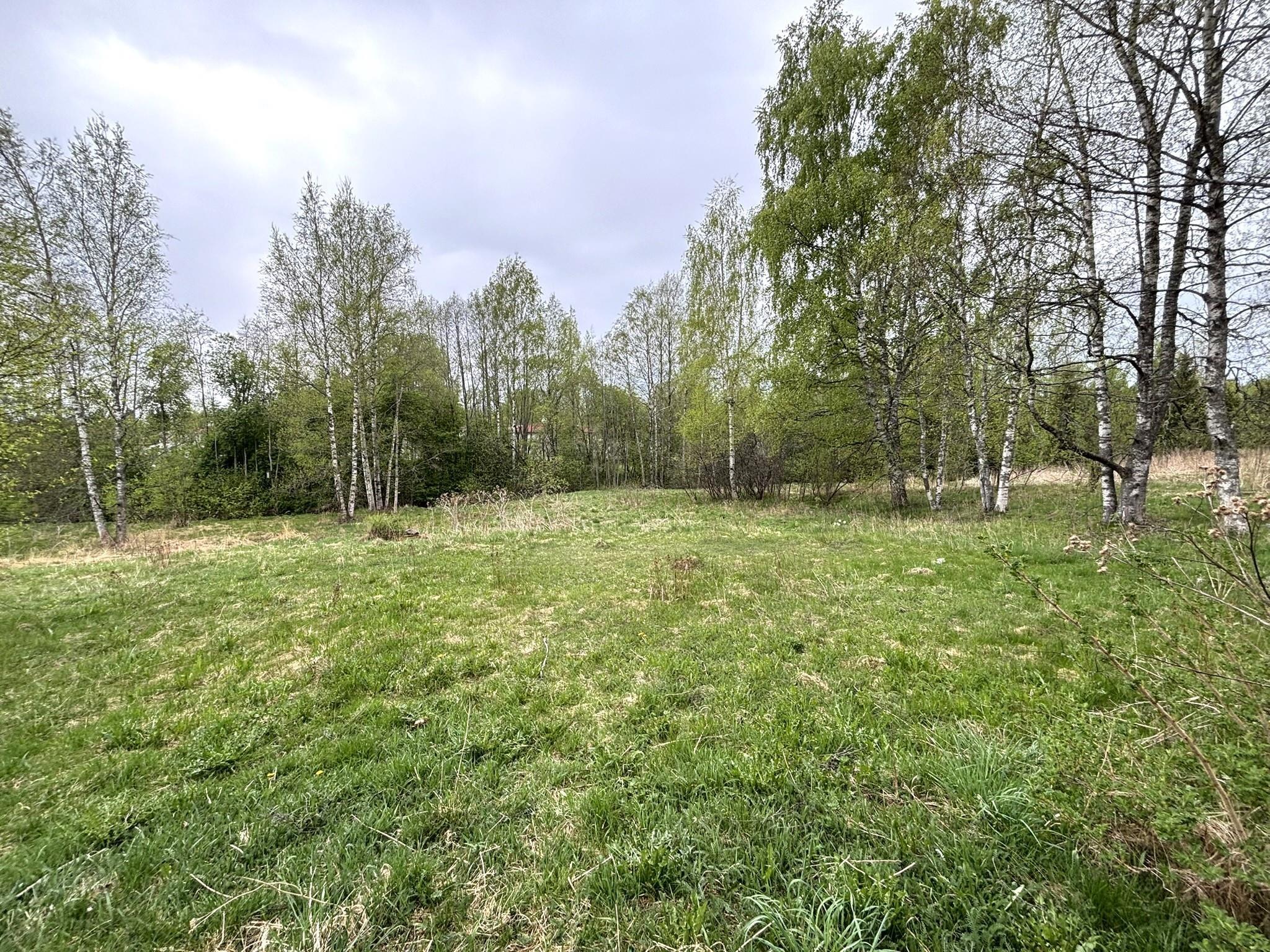 Kohdekuva 3