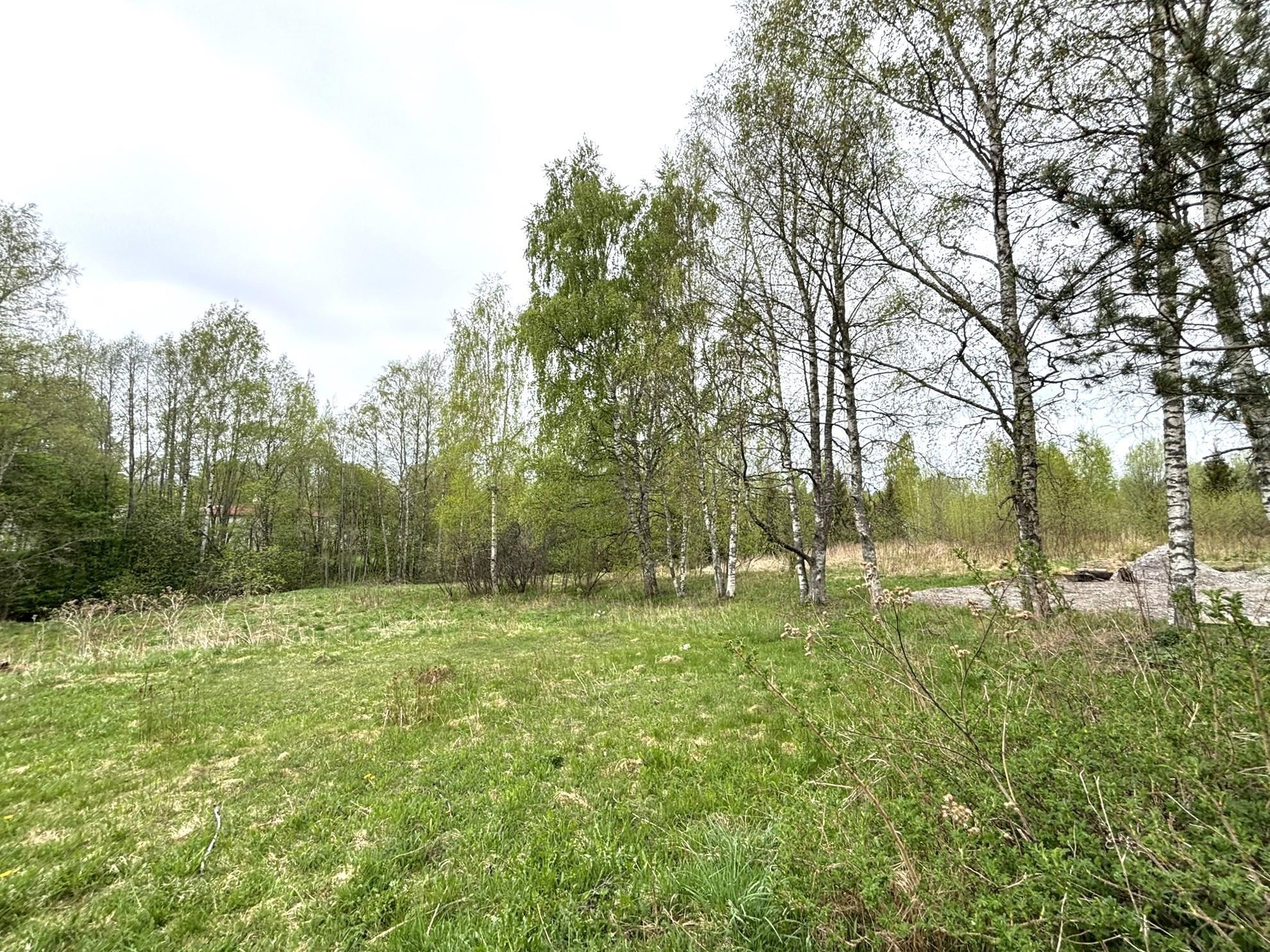 Kohdekuva 4