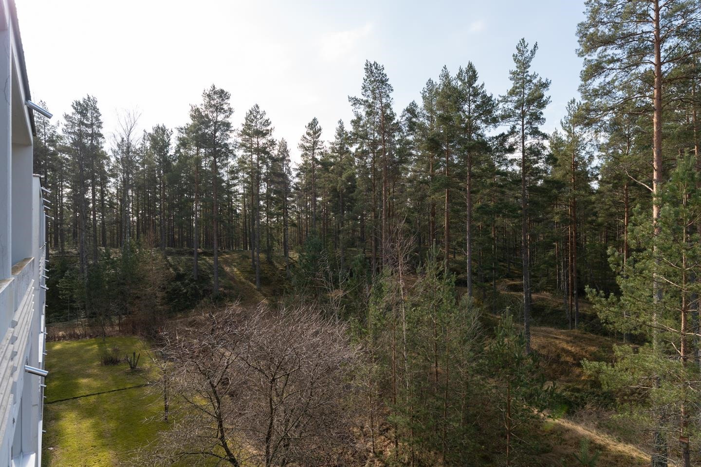 Näkymä parvekkeelta / Utsikt från balkongen