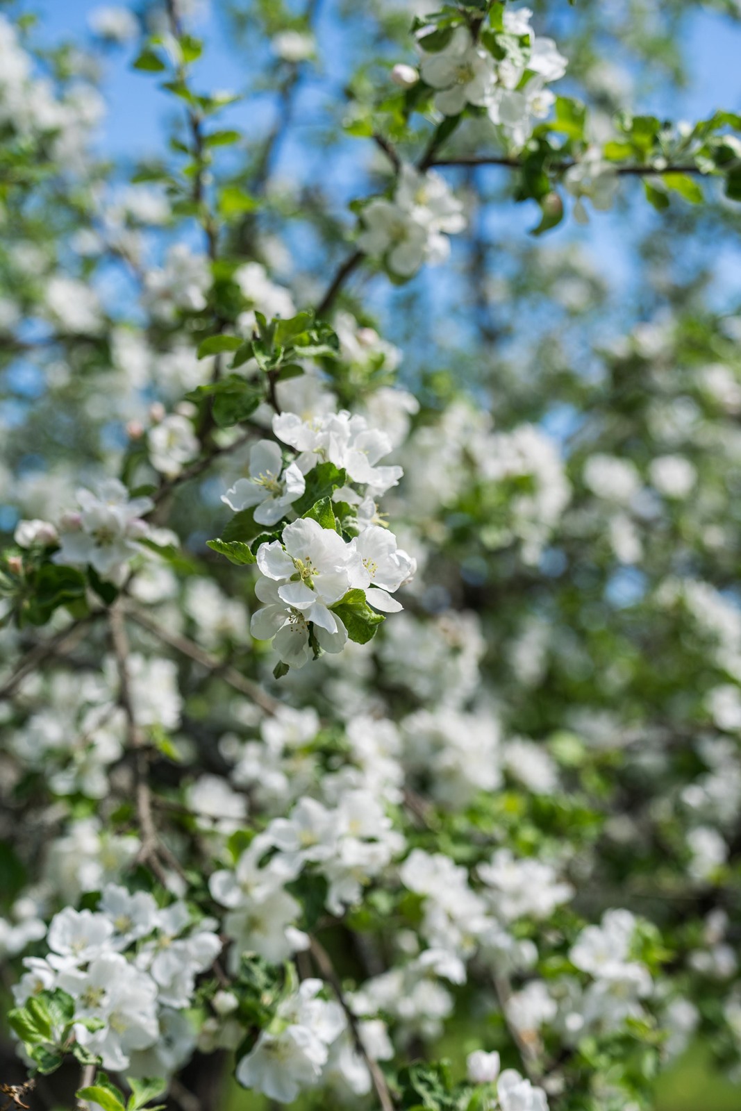 Kohdekuva 61