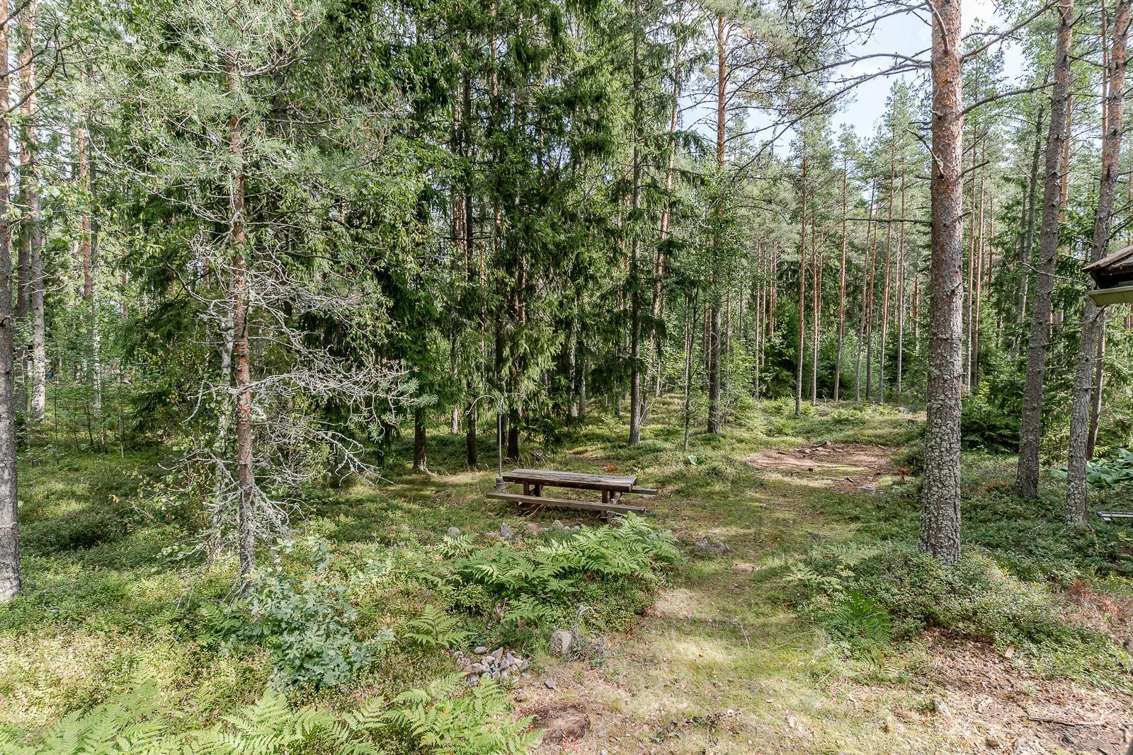 Kohdekuva 21