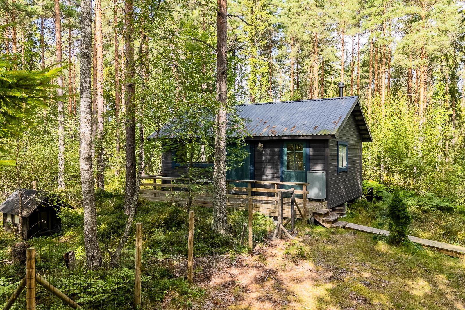 Kohdekuva 12
