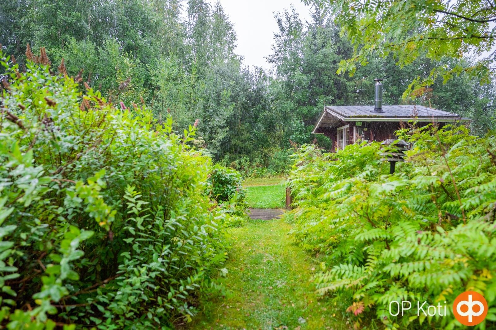 Piha kesä 2023