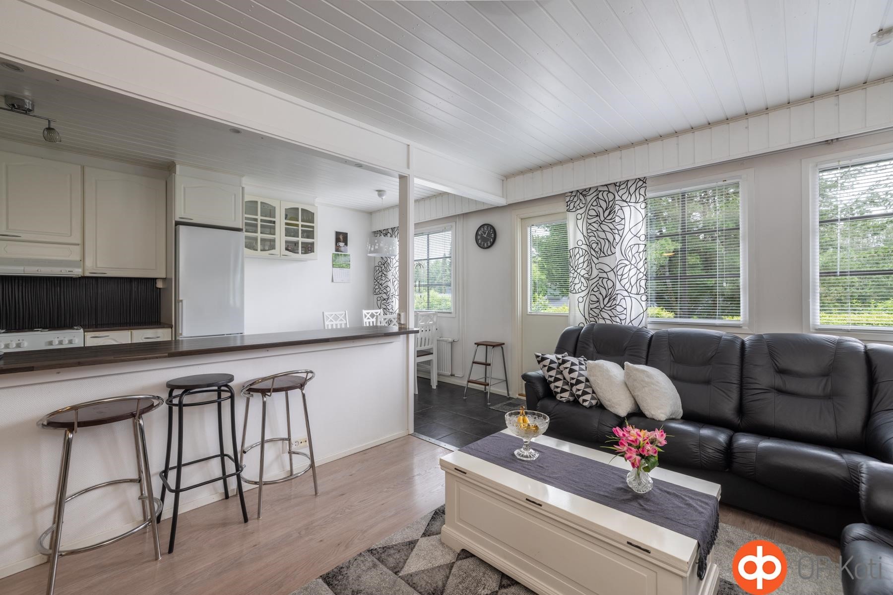 Olohuone ja keittiö