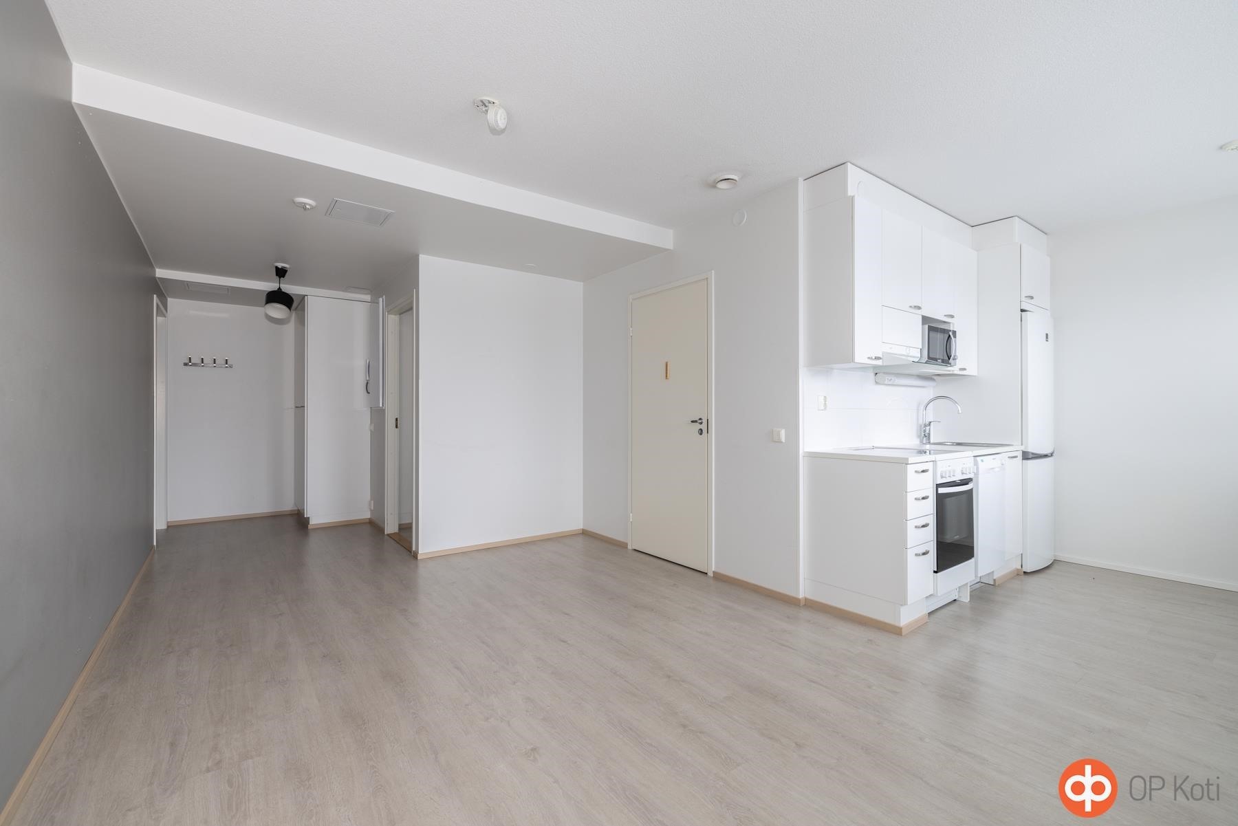 Olohuone ja keittiö