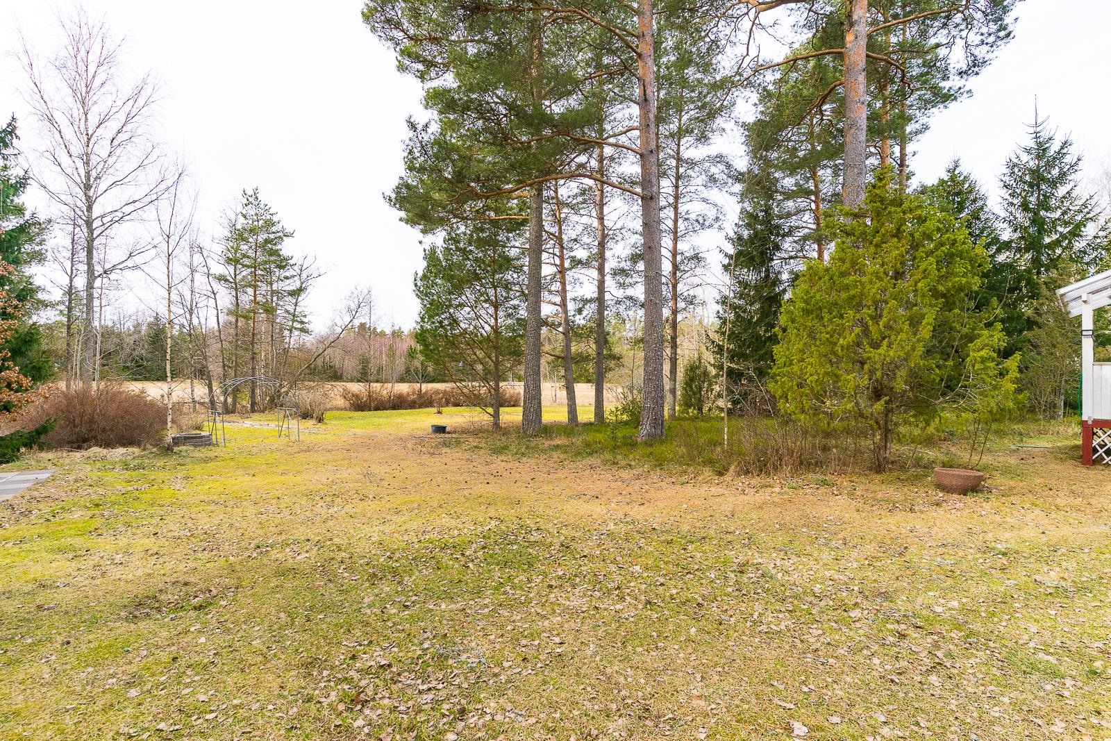 Kohdekuva 21